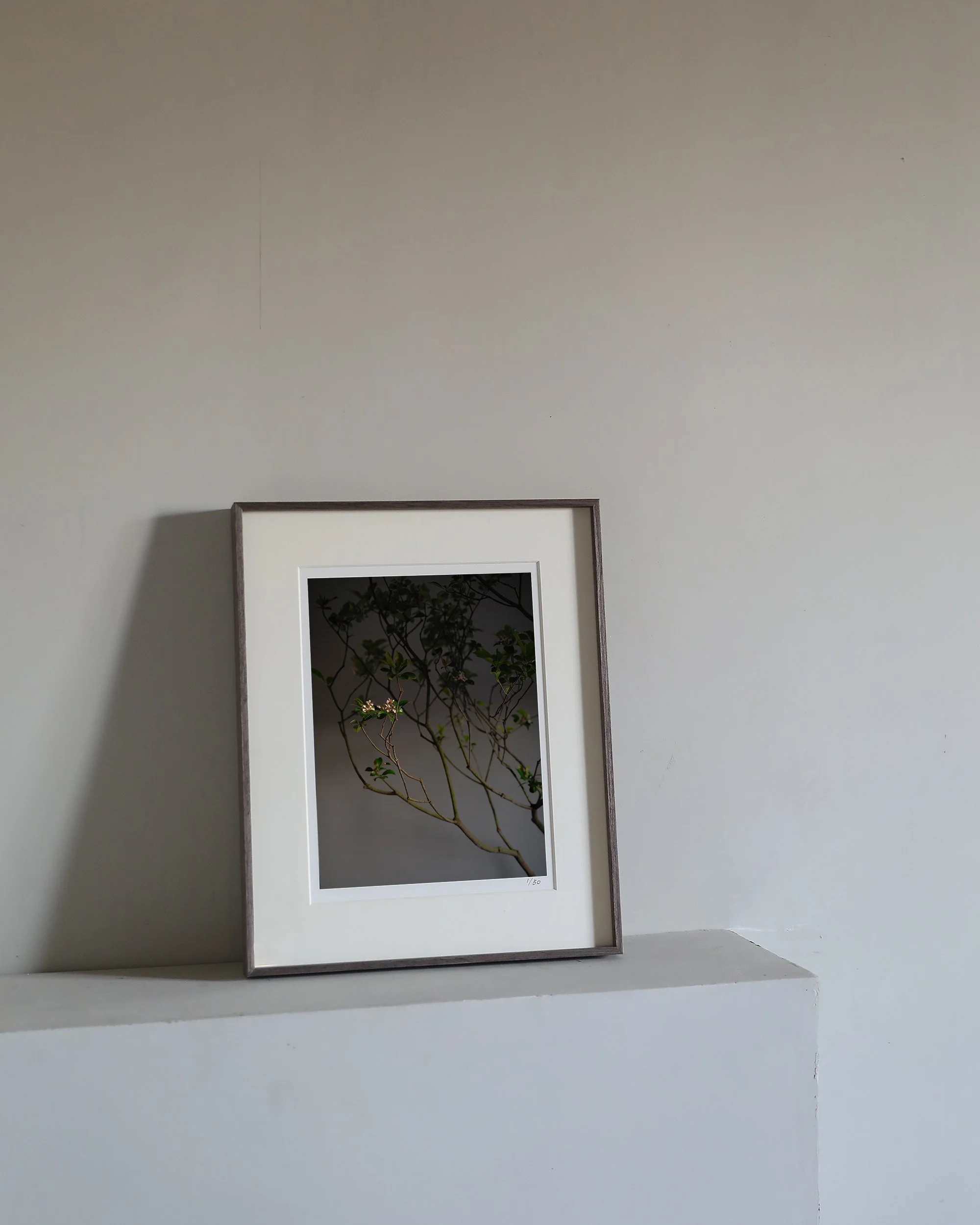 Edtion print_Marina B_01.jpg