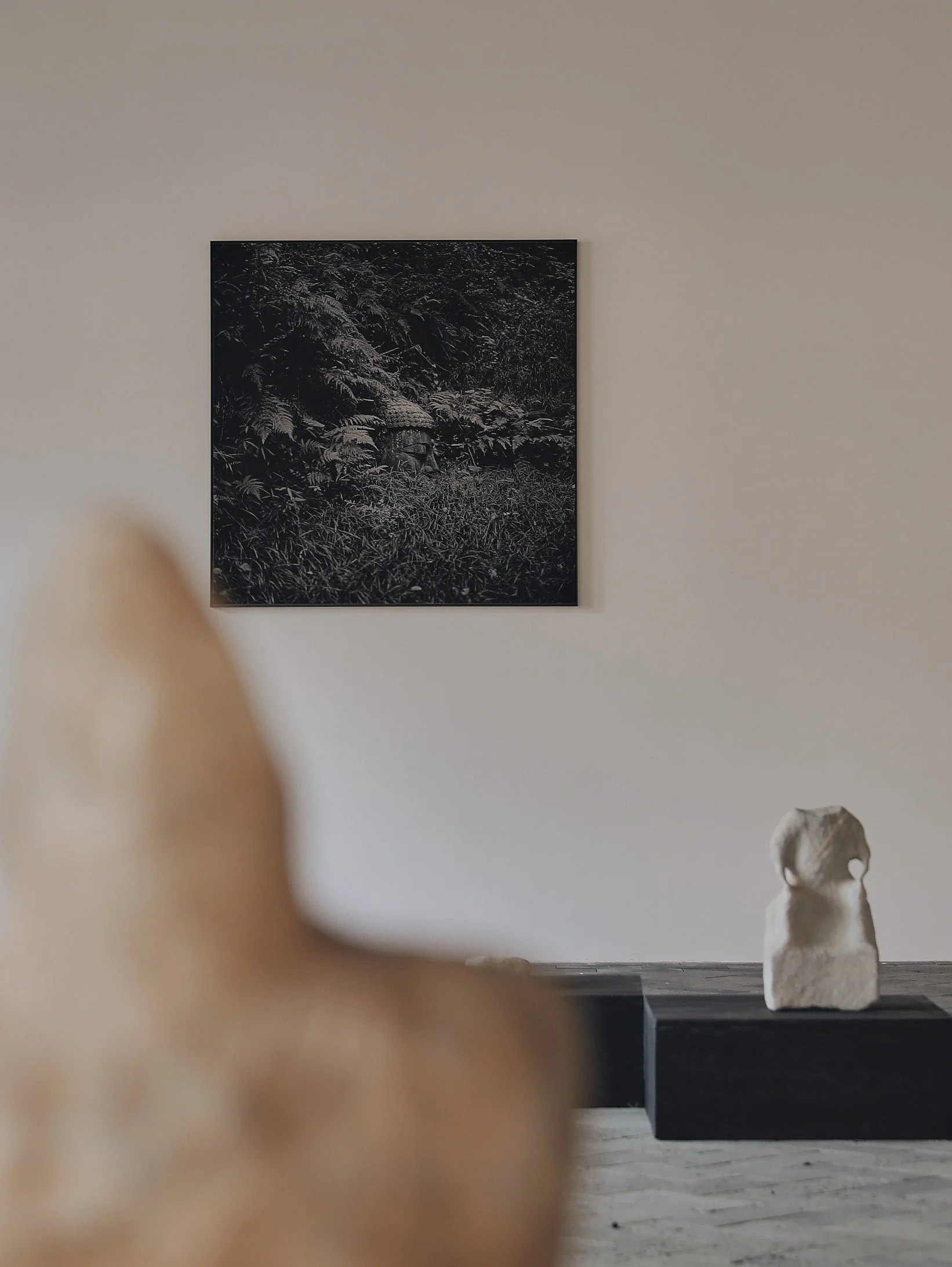 New photography exhibition by Yan Ming & Taca Sui