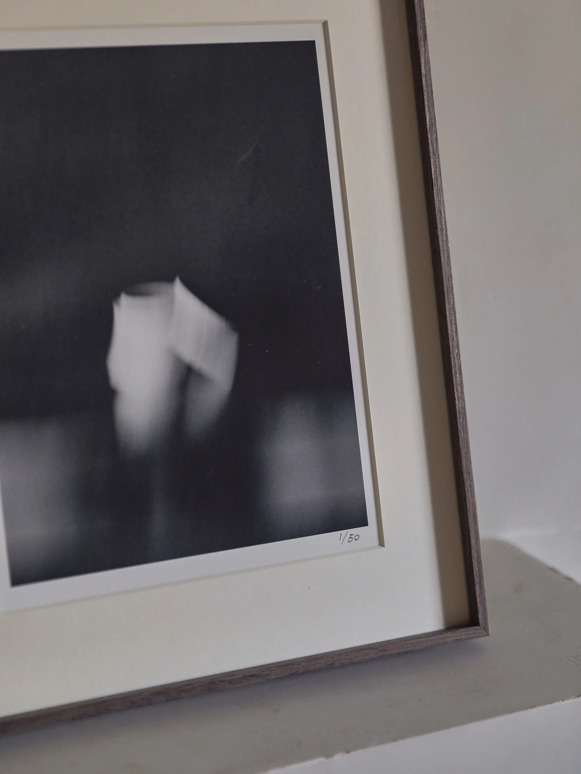 Edtion print_Pan_01.jpg