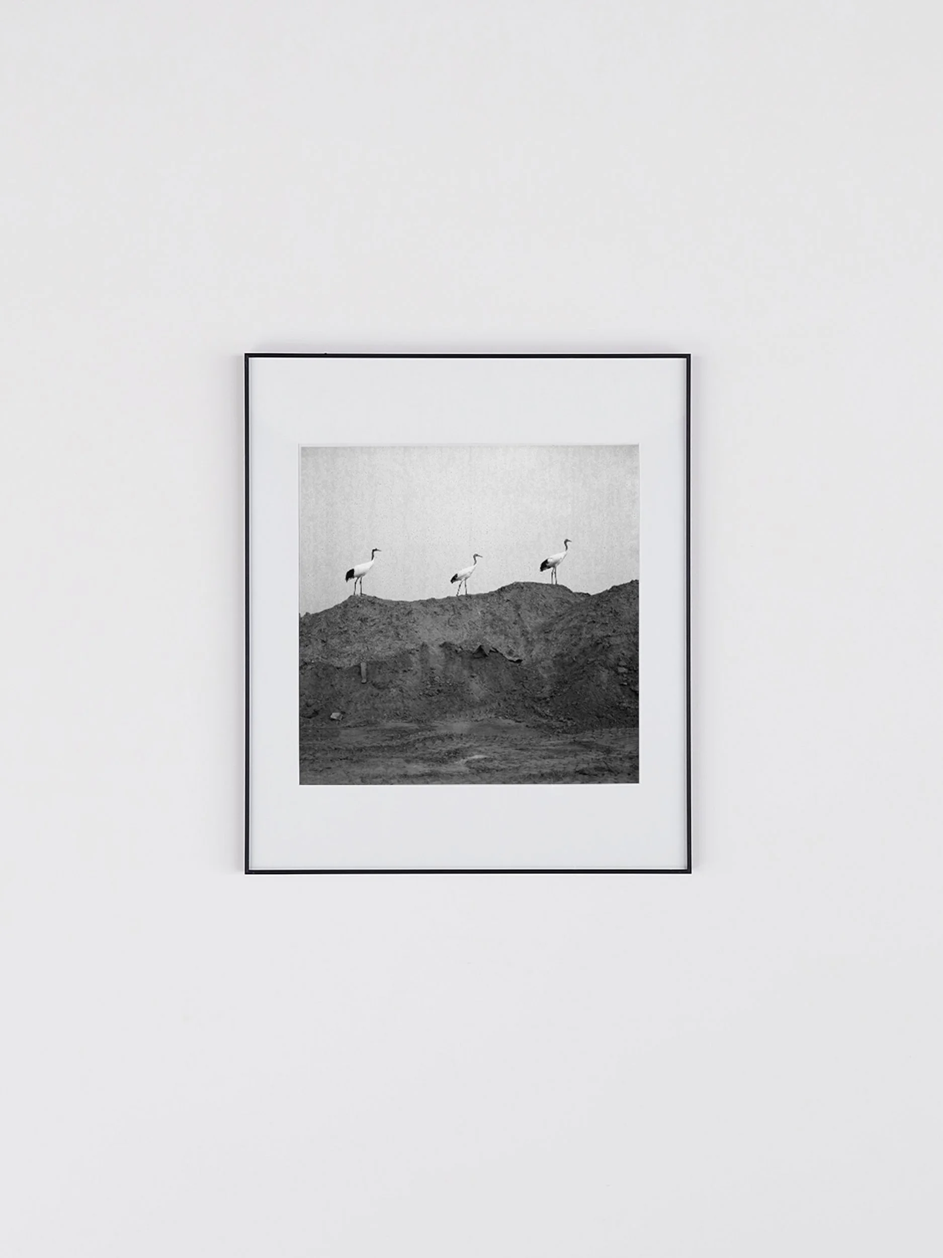 film photography artwork by Yan Ming