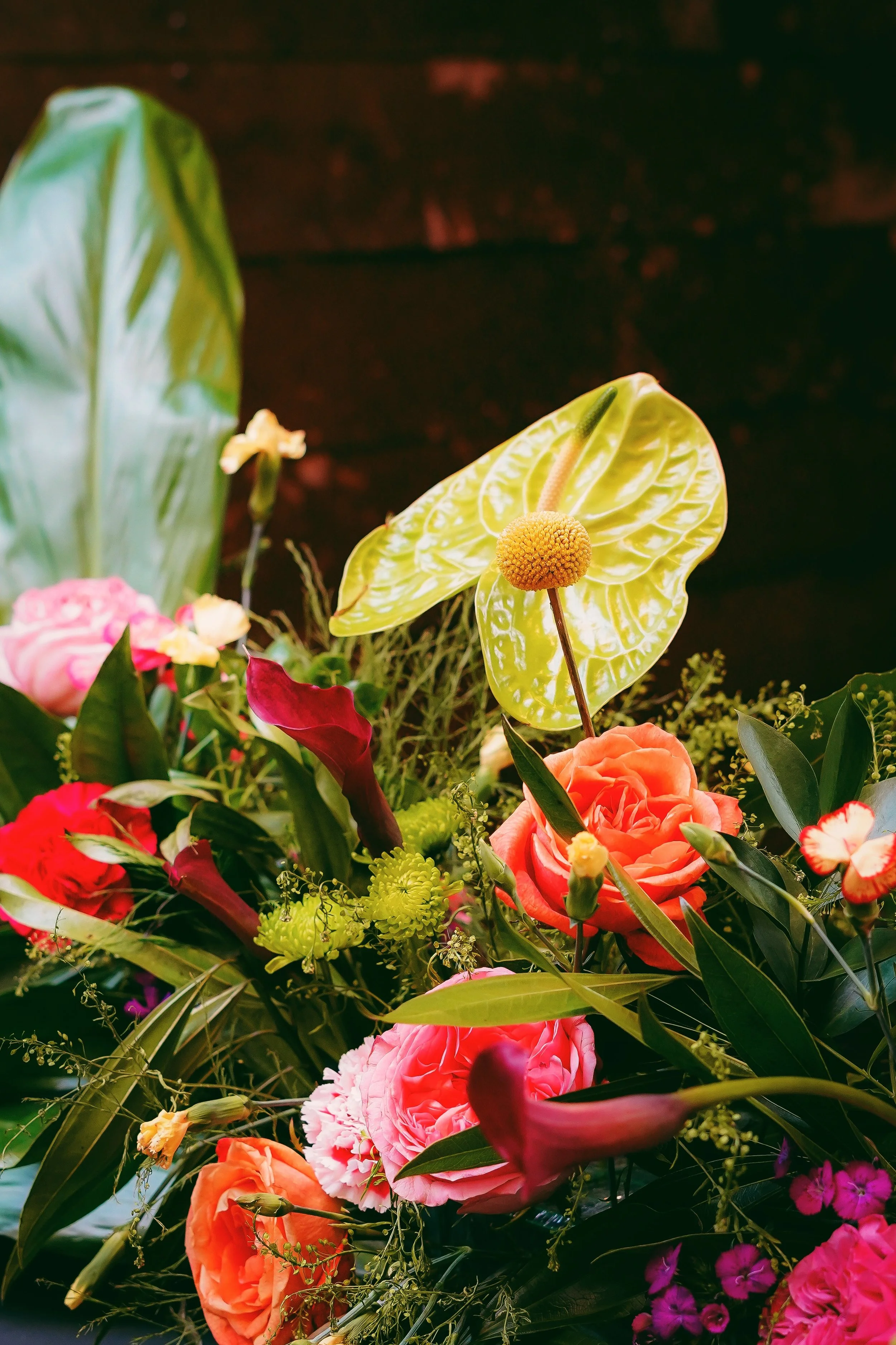 _DSC8192-VSCO.jpg
