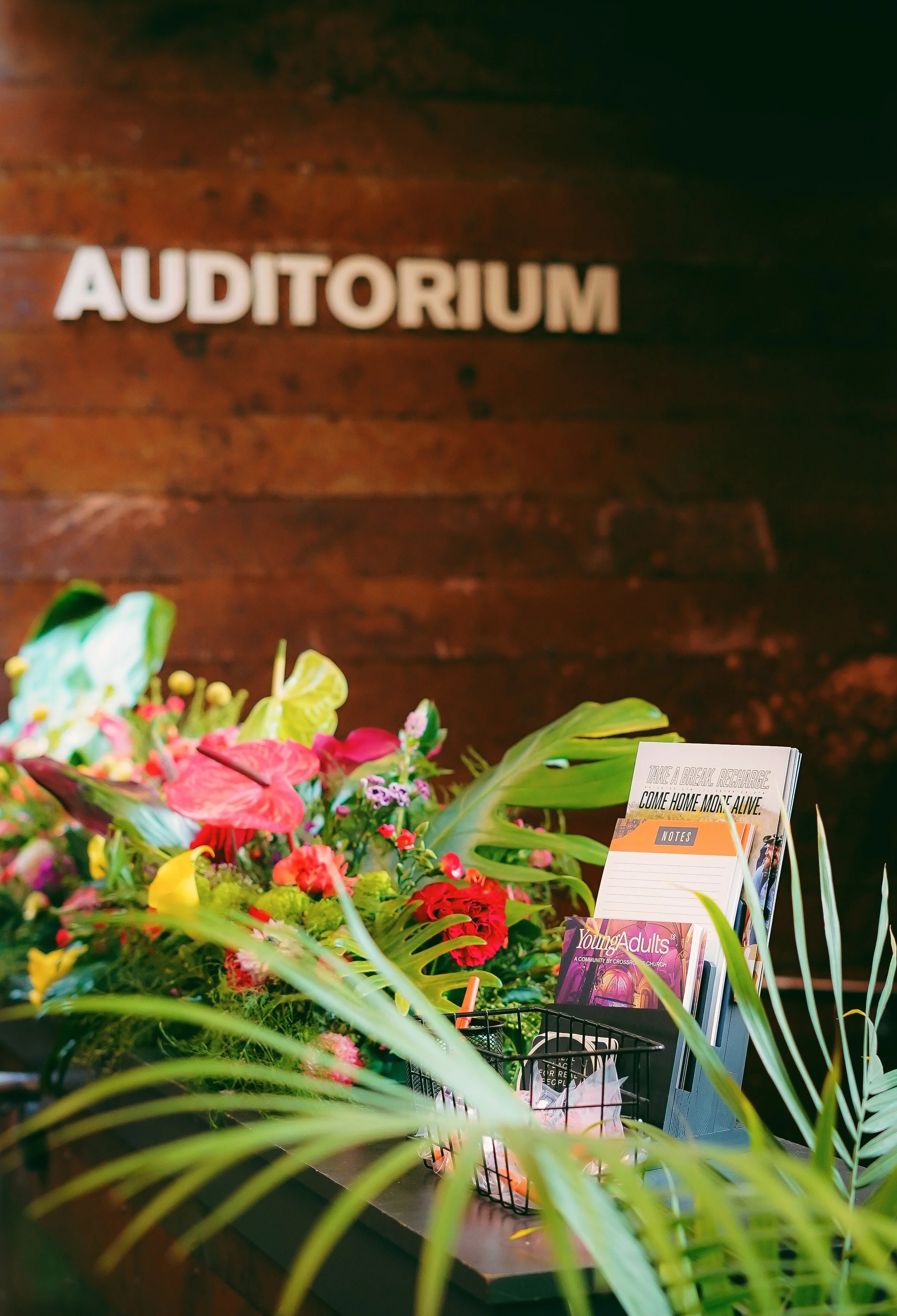 _DSC8177-VSCO.jpg