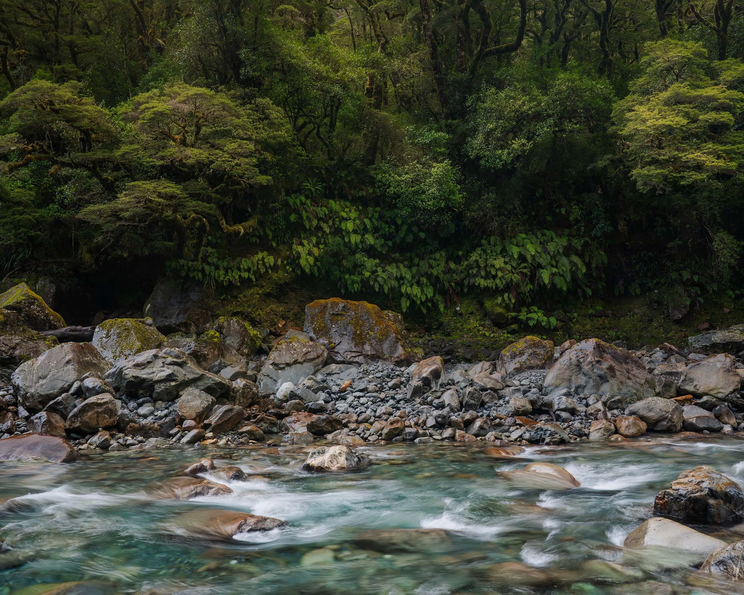 Stream flowing over rocks in a lush green forest.