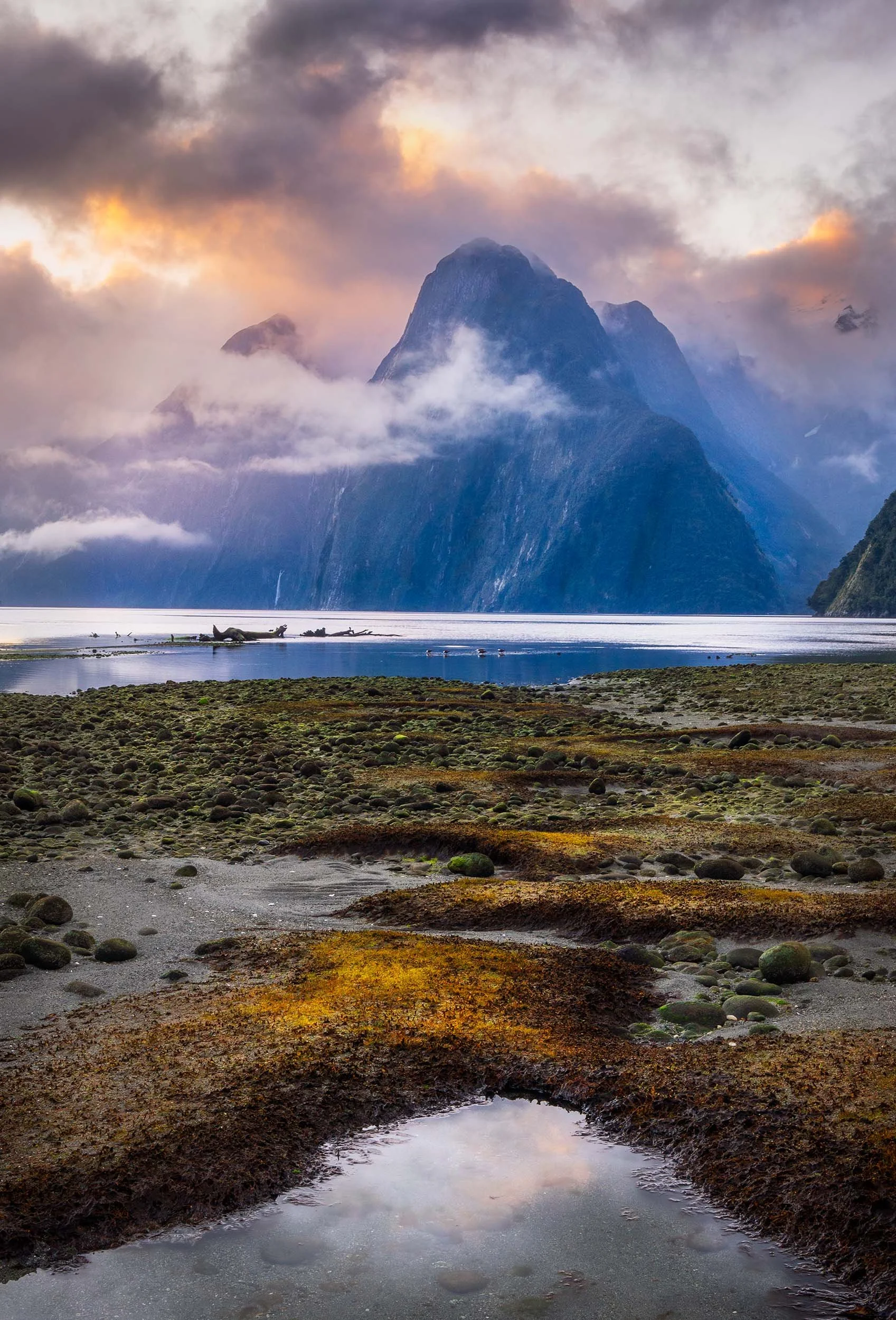 A scenic landscape featuring snow-capped mountains partly shrouded in clouds, a body of water reflecting the sky, and a rocky shoreline with patches of moss and small pools.