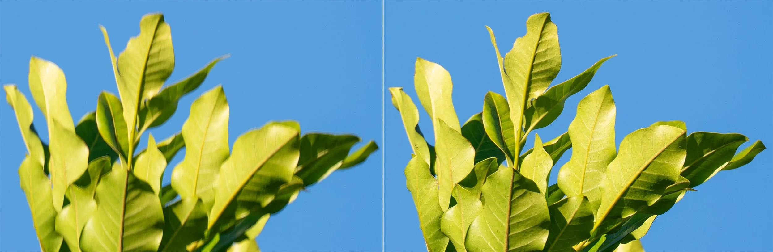 Side-by-side 100% crop comparison at 400mm showing vibration blur without self-timer (left) and improved sharpness using a 10-second self-timer (right).