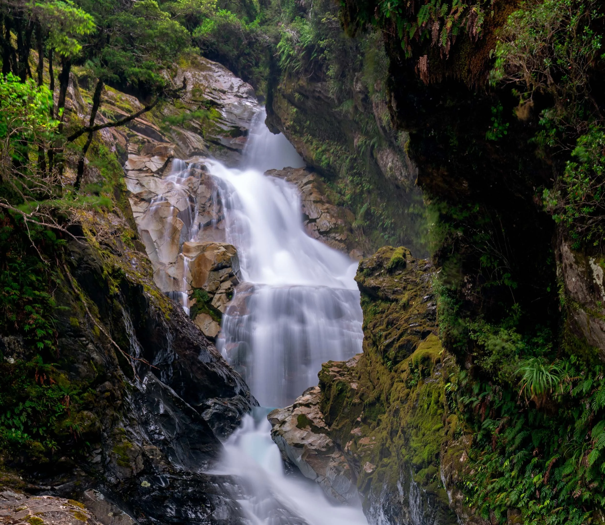 A cascading waterfall flowing through a lush green forest with trees and moss-covered rocks.