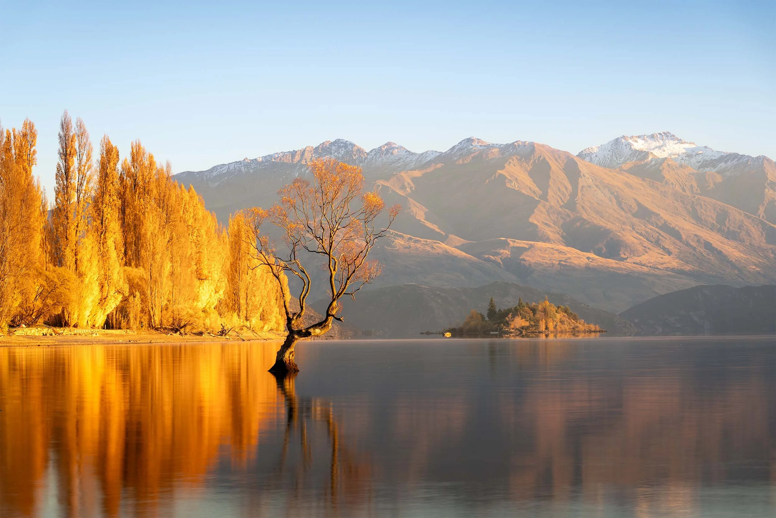 A serene landscape featuring a calm lake with a solitary tree partly submerged near the shore, golden autumn foliage on trees lining the opposite bank, and majestic snow-capped mountains in the background under a clear blue sky.