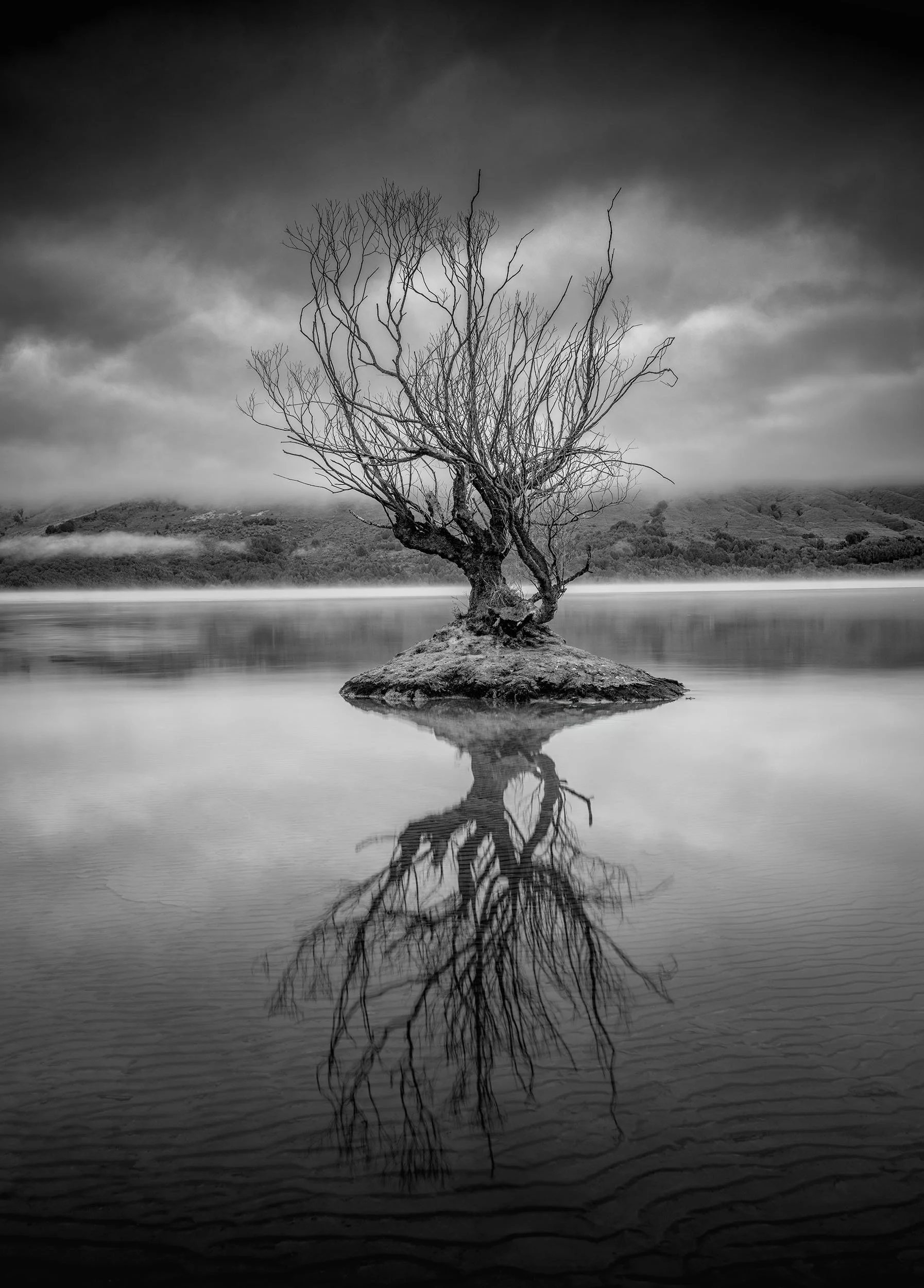 A leafless tree on a small island reflecting in calm water with a cloudy sky in the background.