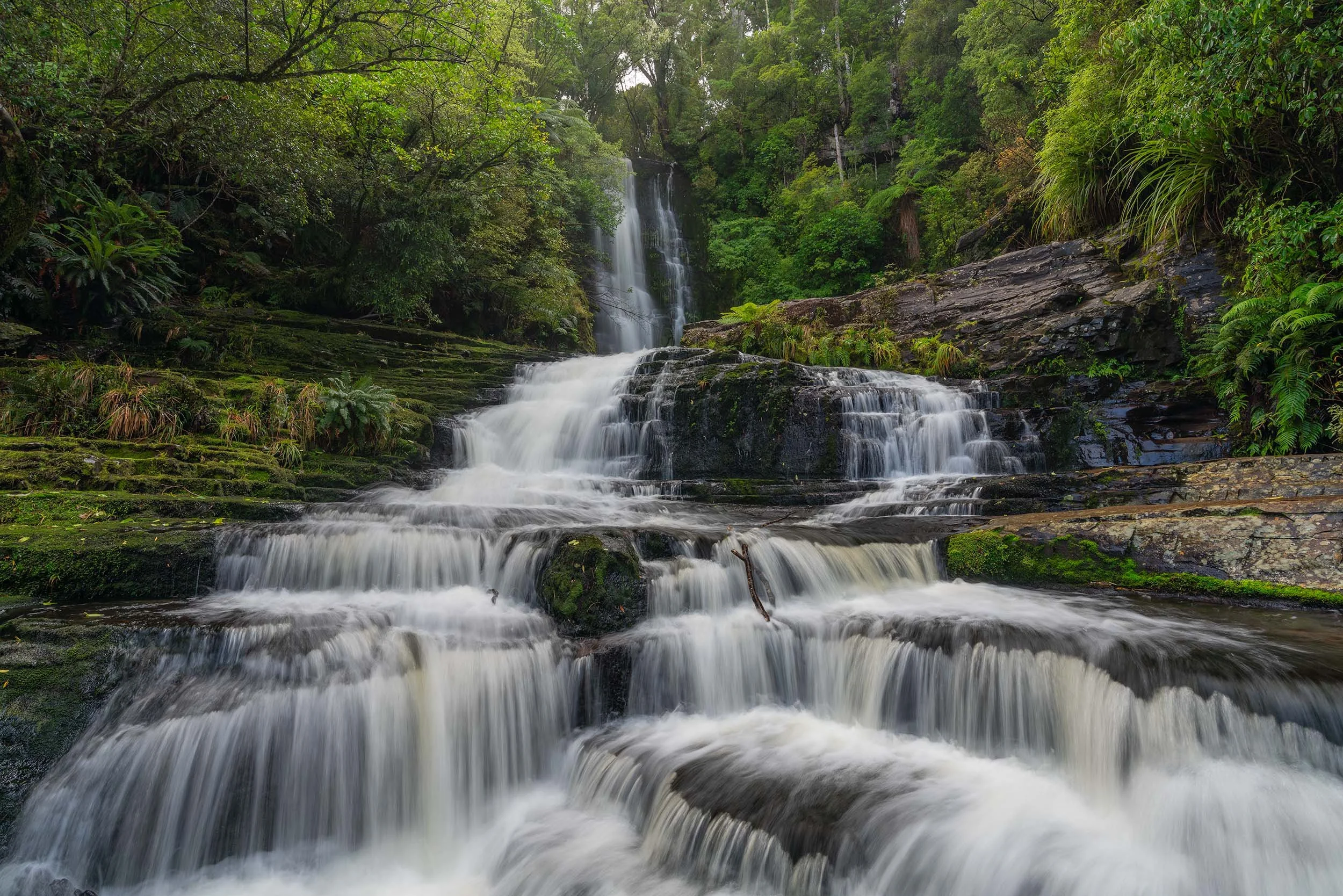 Waterfall in the Catlins, New Zealand, surrounded by lush native bush