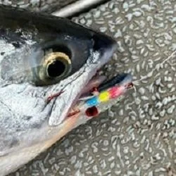 custom fishing lure rs3 Adam's Custom Lures Havok  Team Rhino Outdoors LLC