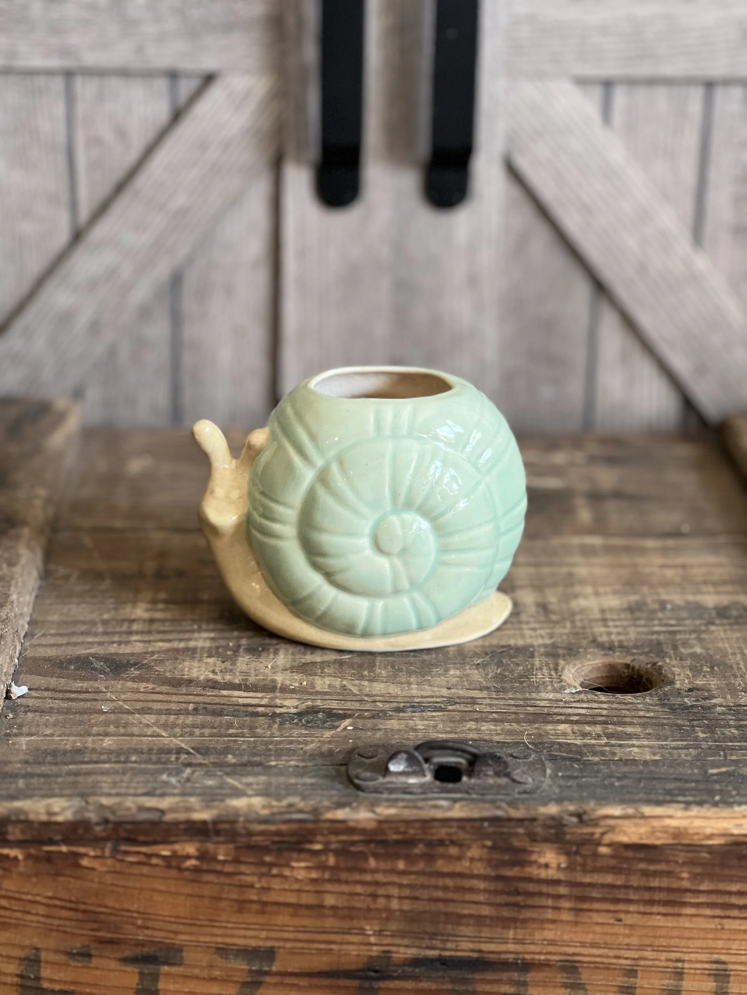 Whimsical Snail Ceramic Planter