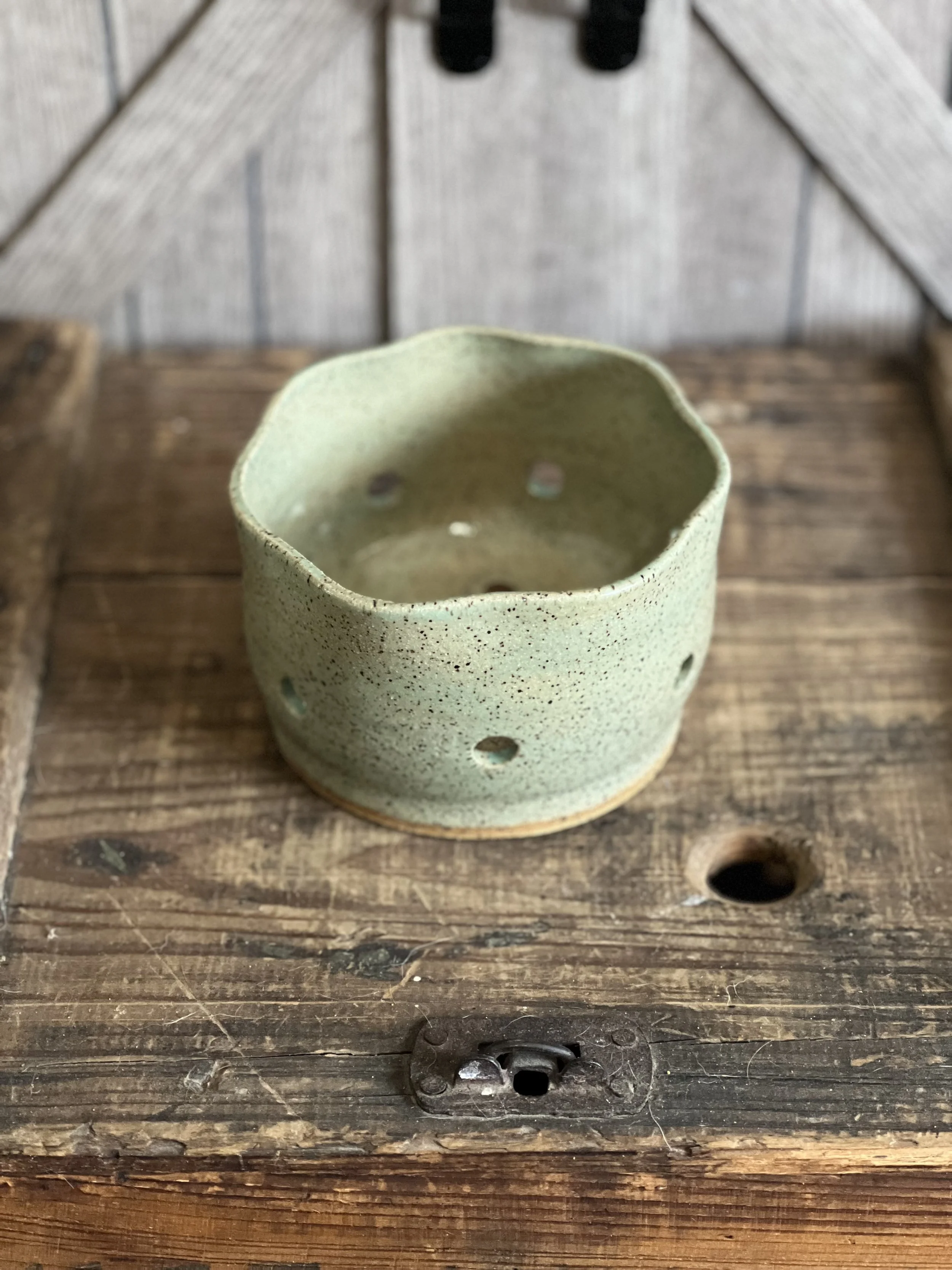 Succulent Green Berry Buddy Bowl