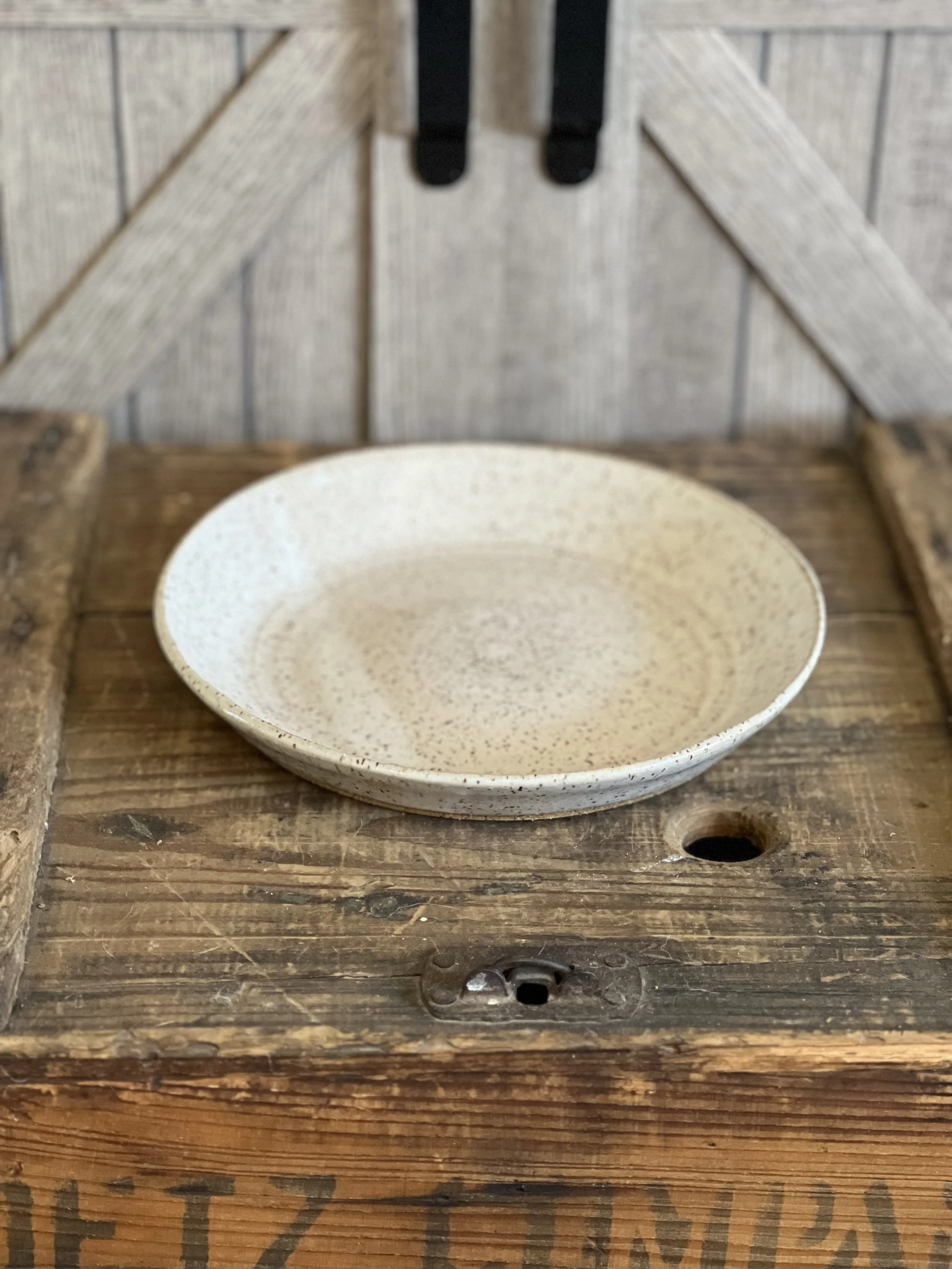 Rustic Elegance Ceramic Pasta Plate