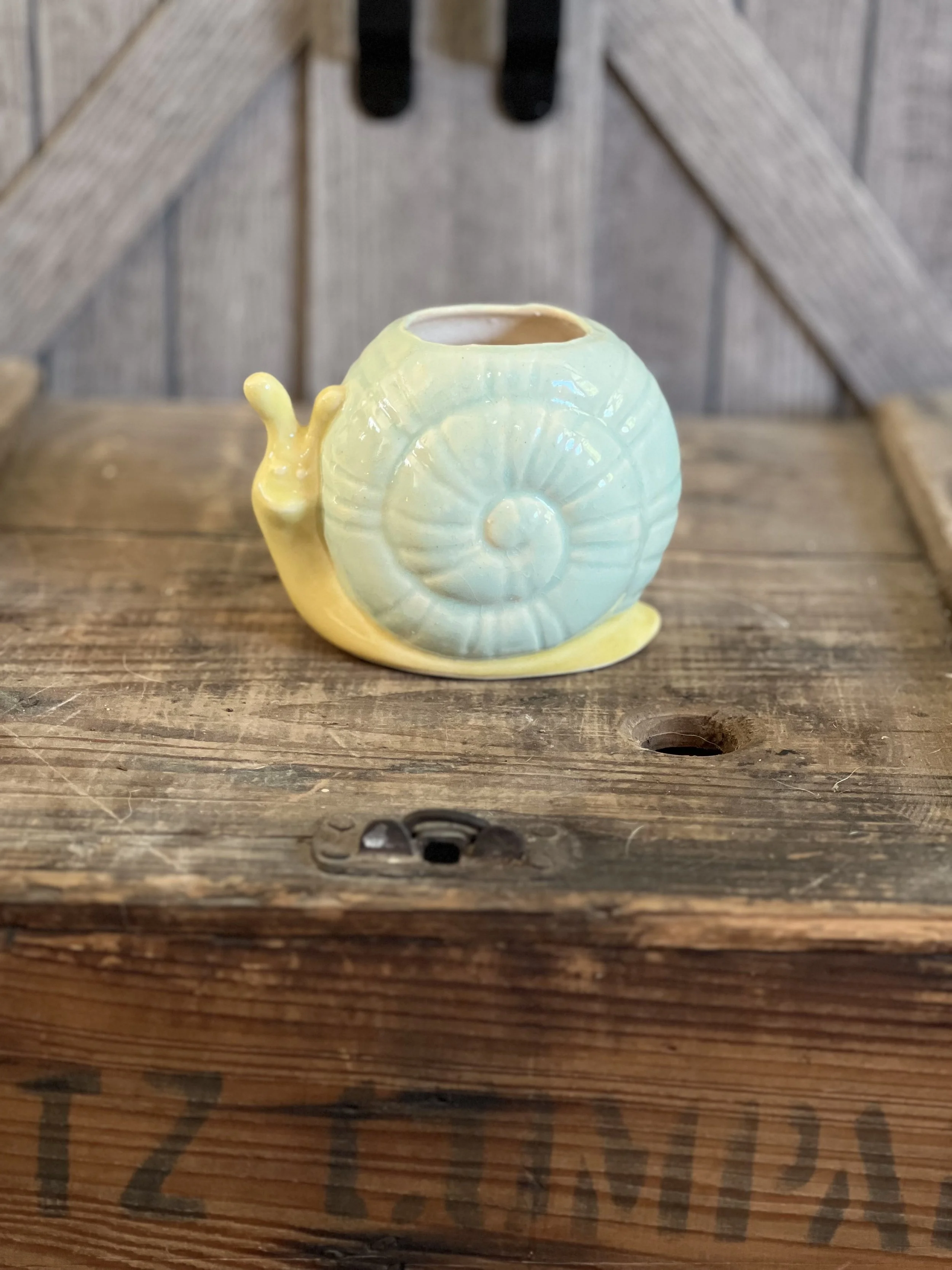 Whimsical Snail Ceramic Planter