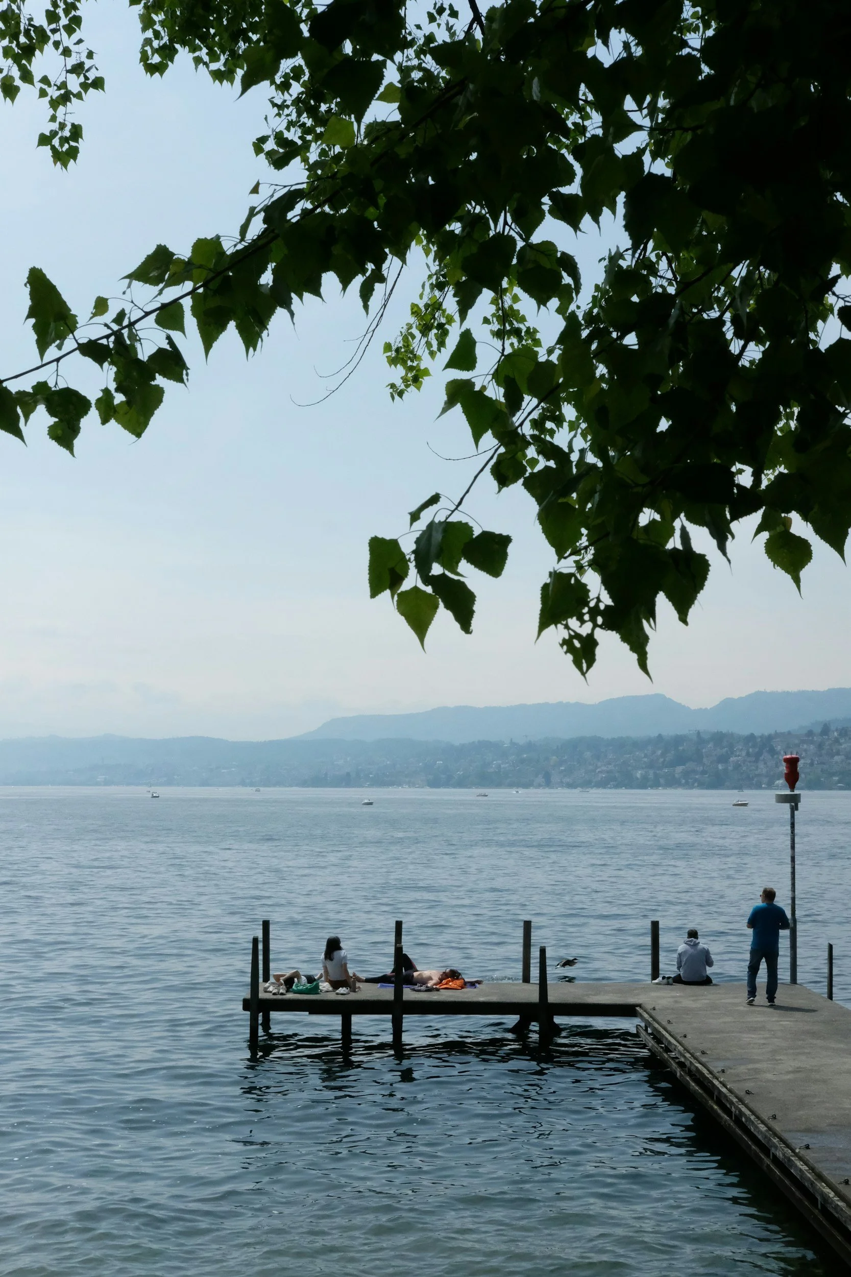 View of a lake with people sitting and standing on a dock, trees with green leaves in the foreground, mountains in the distance, and boats on the water.