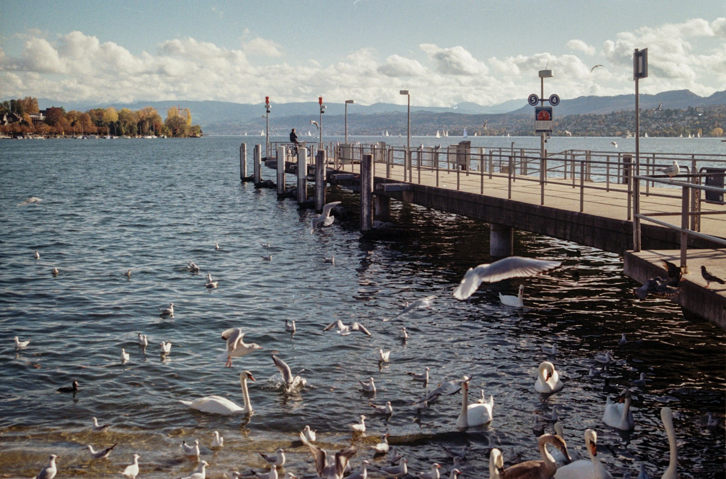 A lakeside scene with a dock extending into the water, a person sitting at the end of the dock, seagulls flying and swimming in the lake, and mountains in the distance under a partly cloudy sky.
