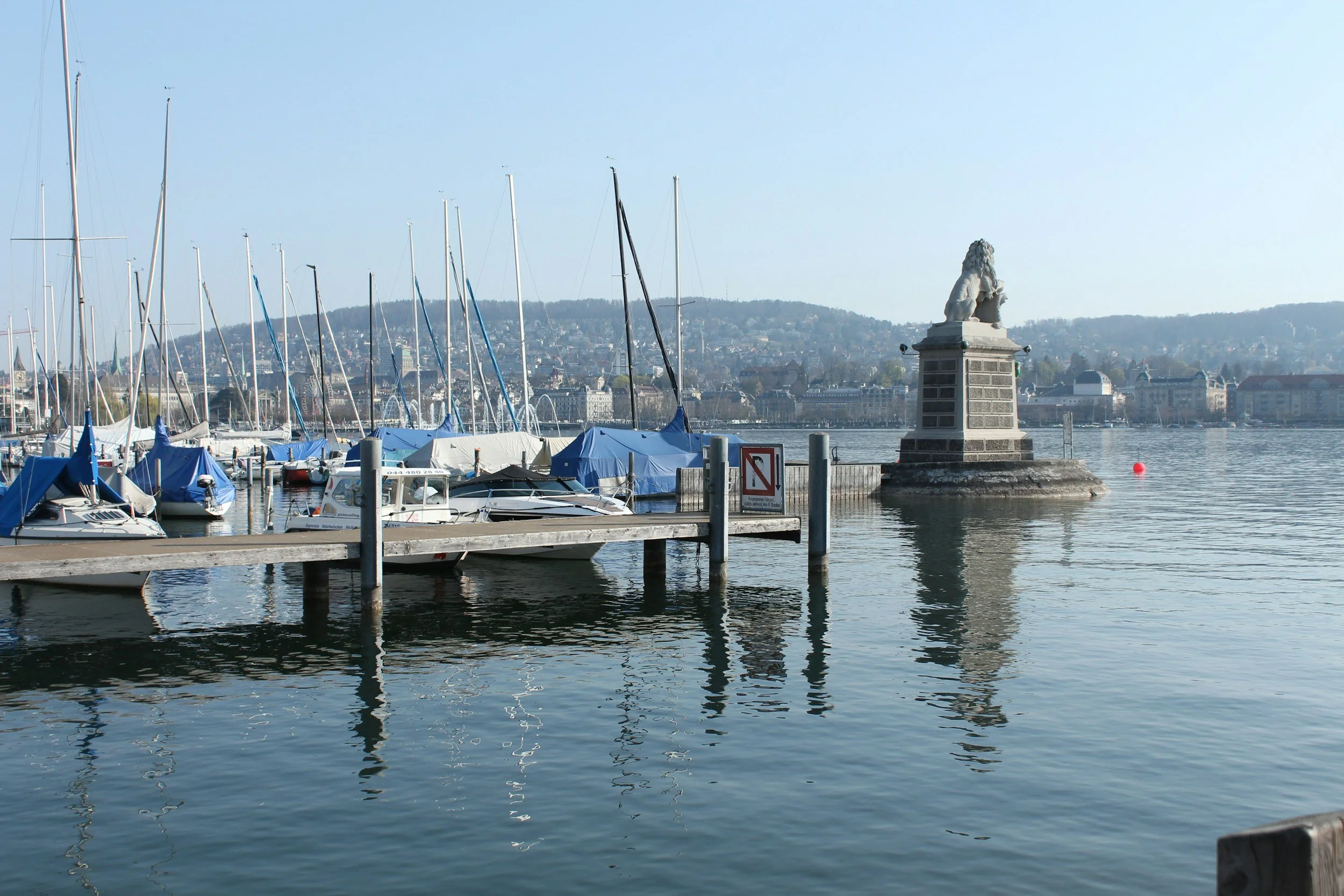 Boats docked at a marina with cityscape and hills in the background.