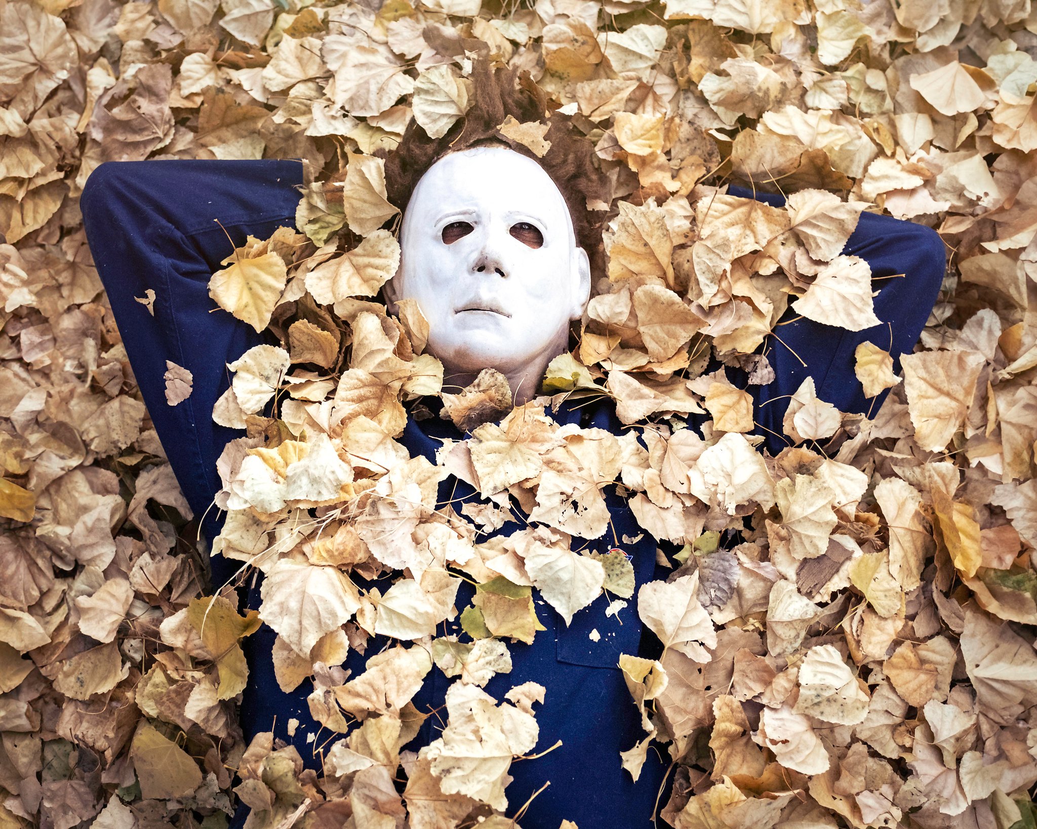 FallLeaves-web.jpg