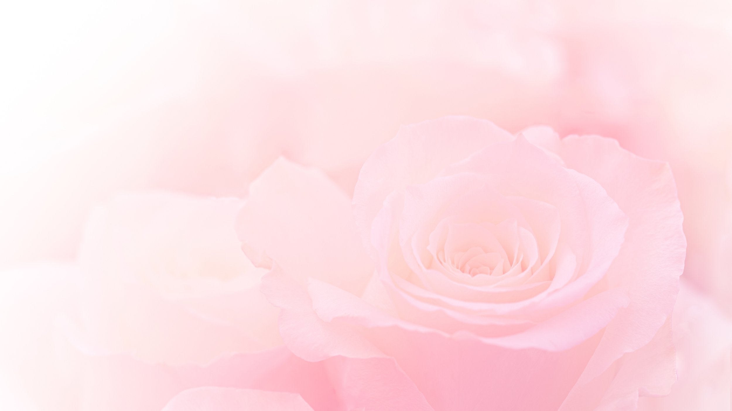 Online Community Service Opportunities For Court