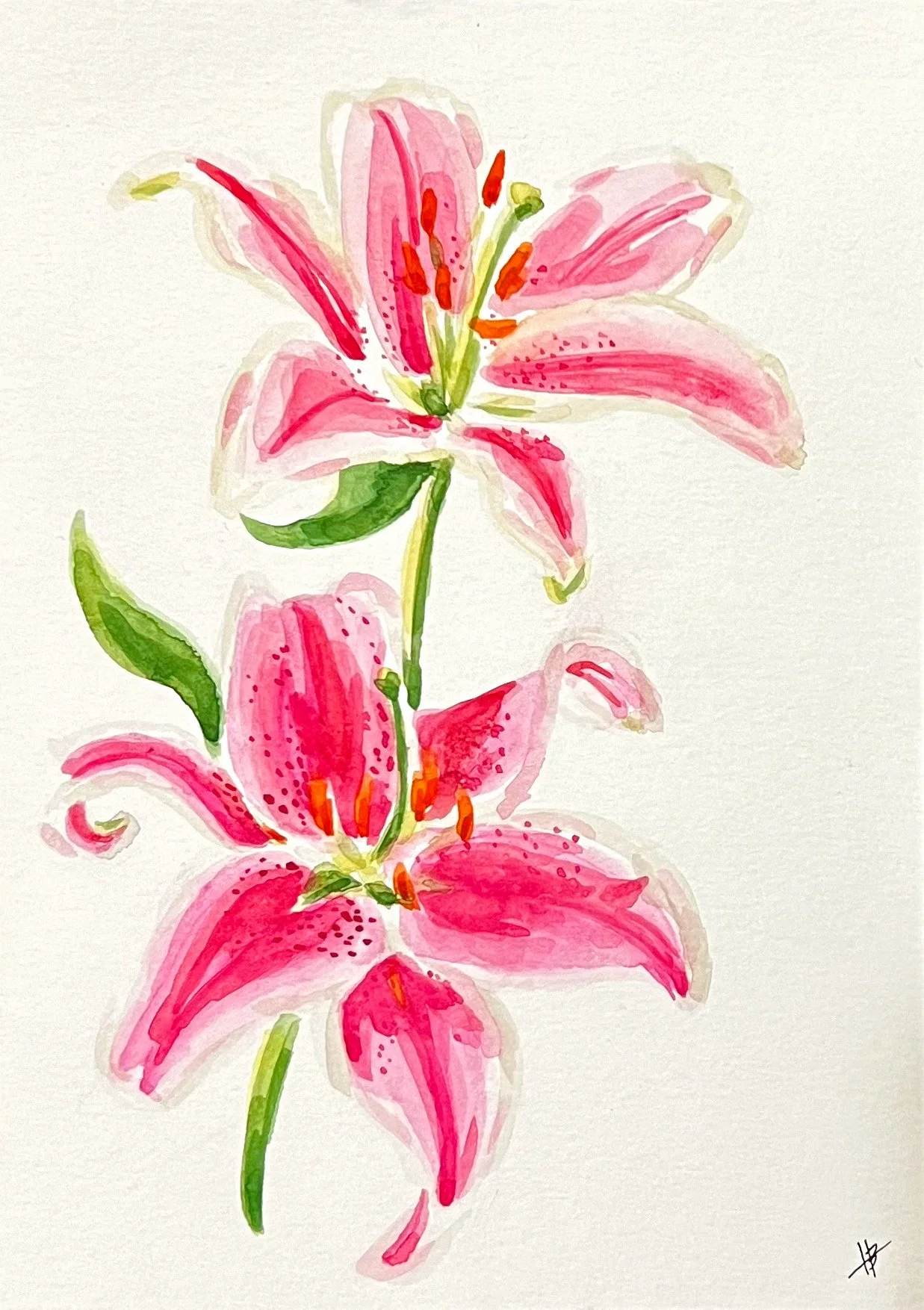 IMG_6129_Stargazer Lilies.jpg