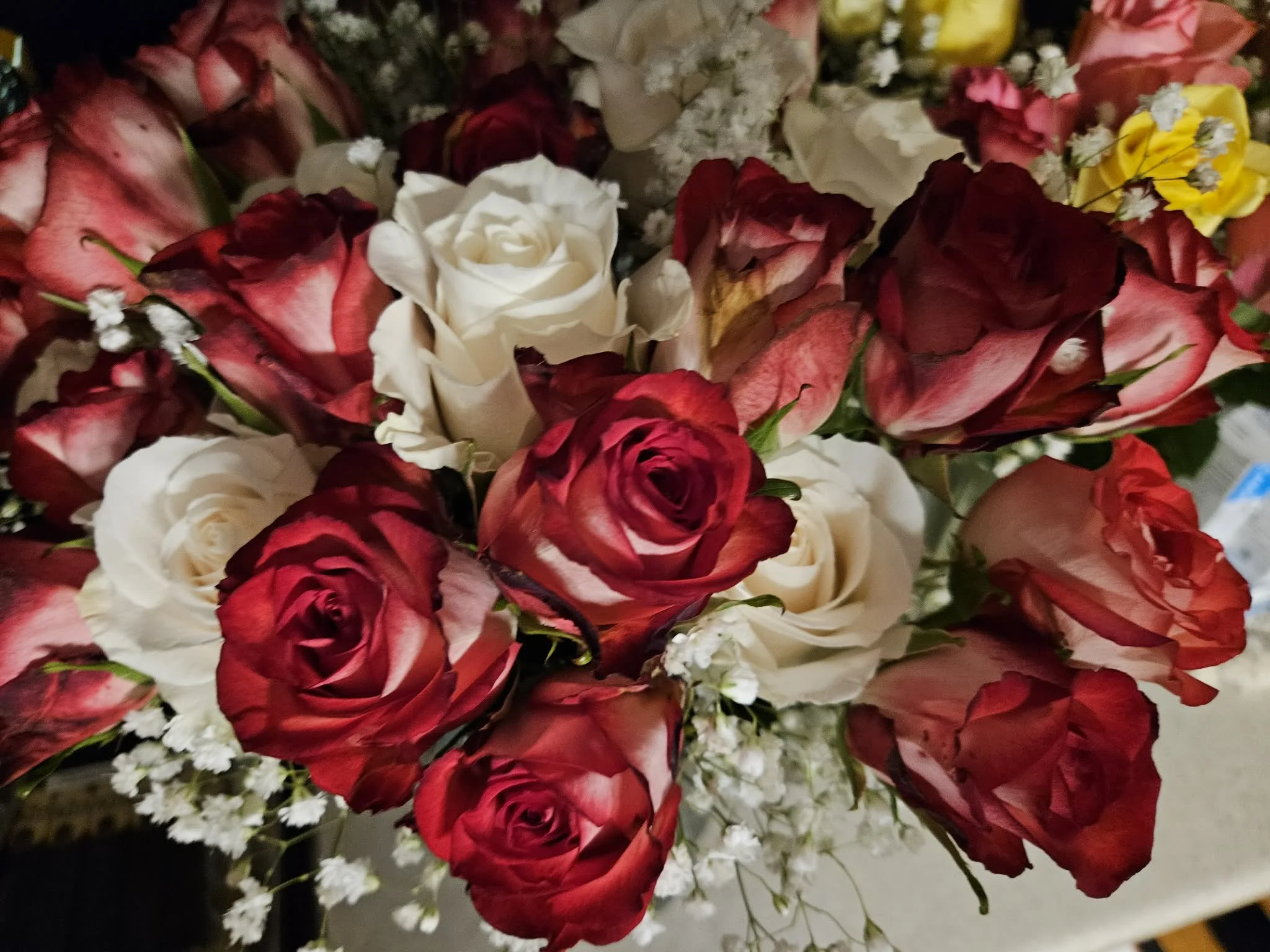 Dozen Roses with Baby Breath