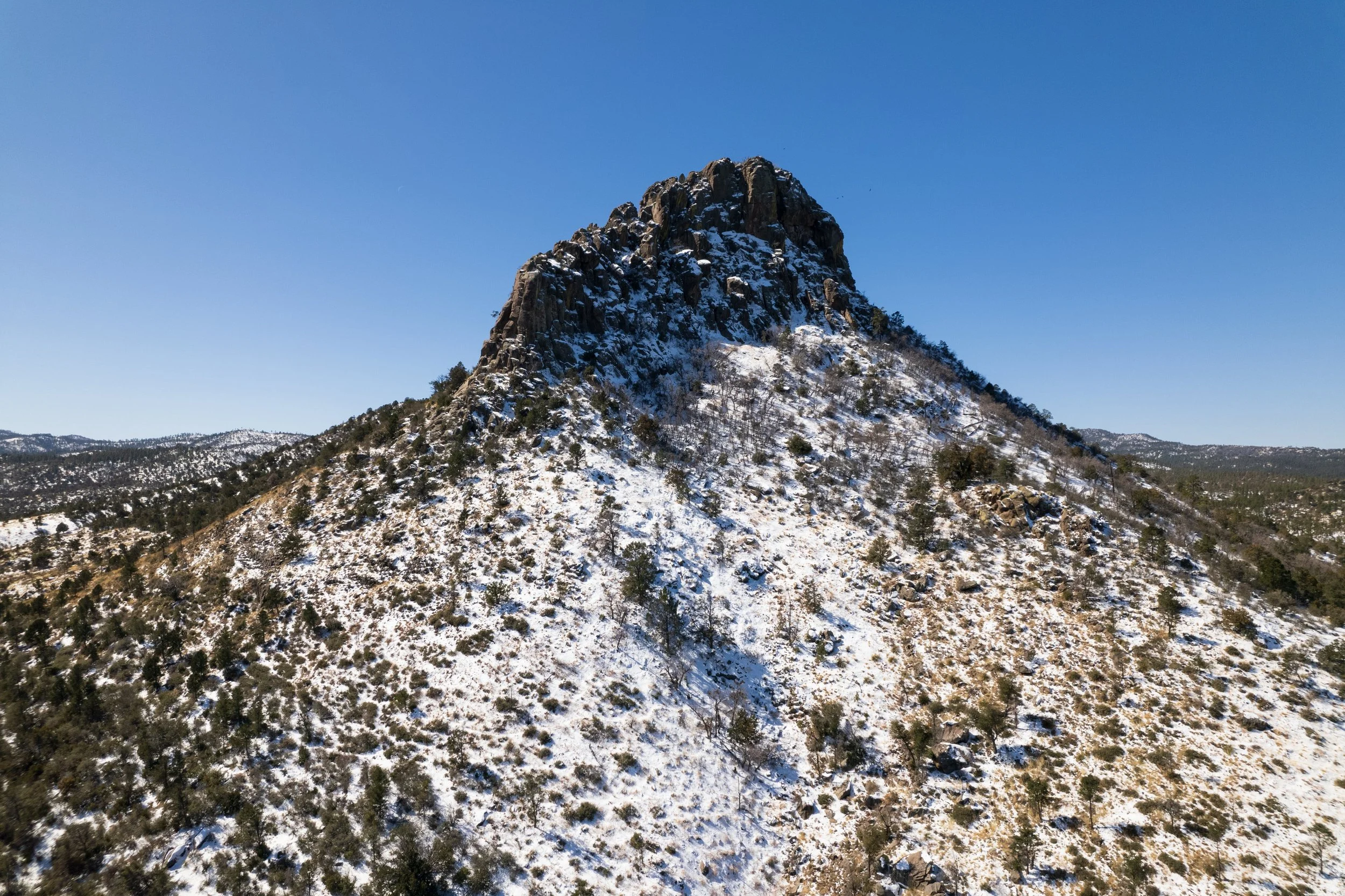 About Savage For Judge about-savage-for-judge