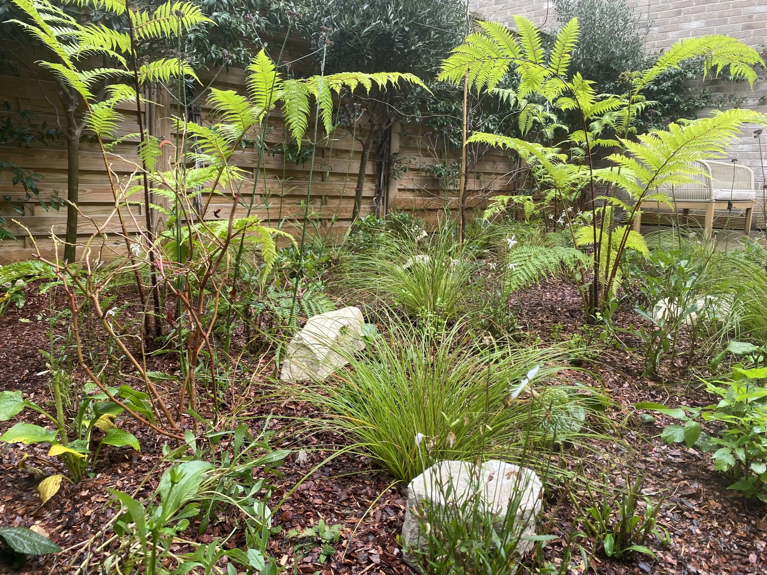 USE IMG_4628 copy.jpg