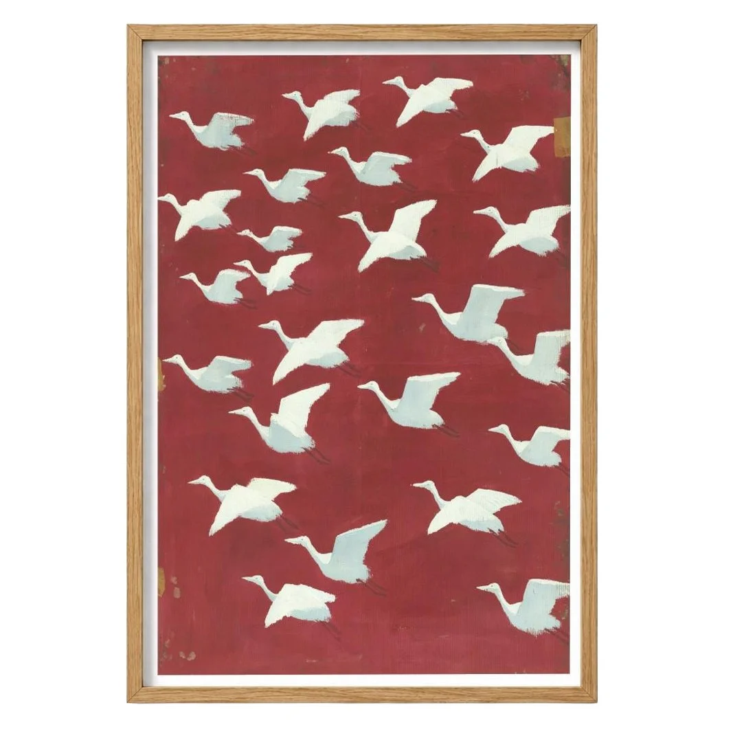 flock1.jpg