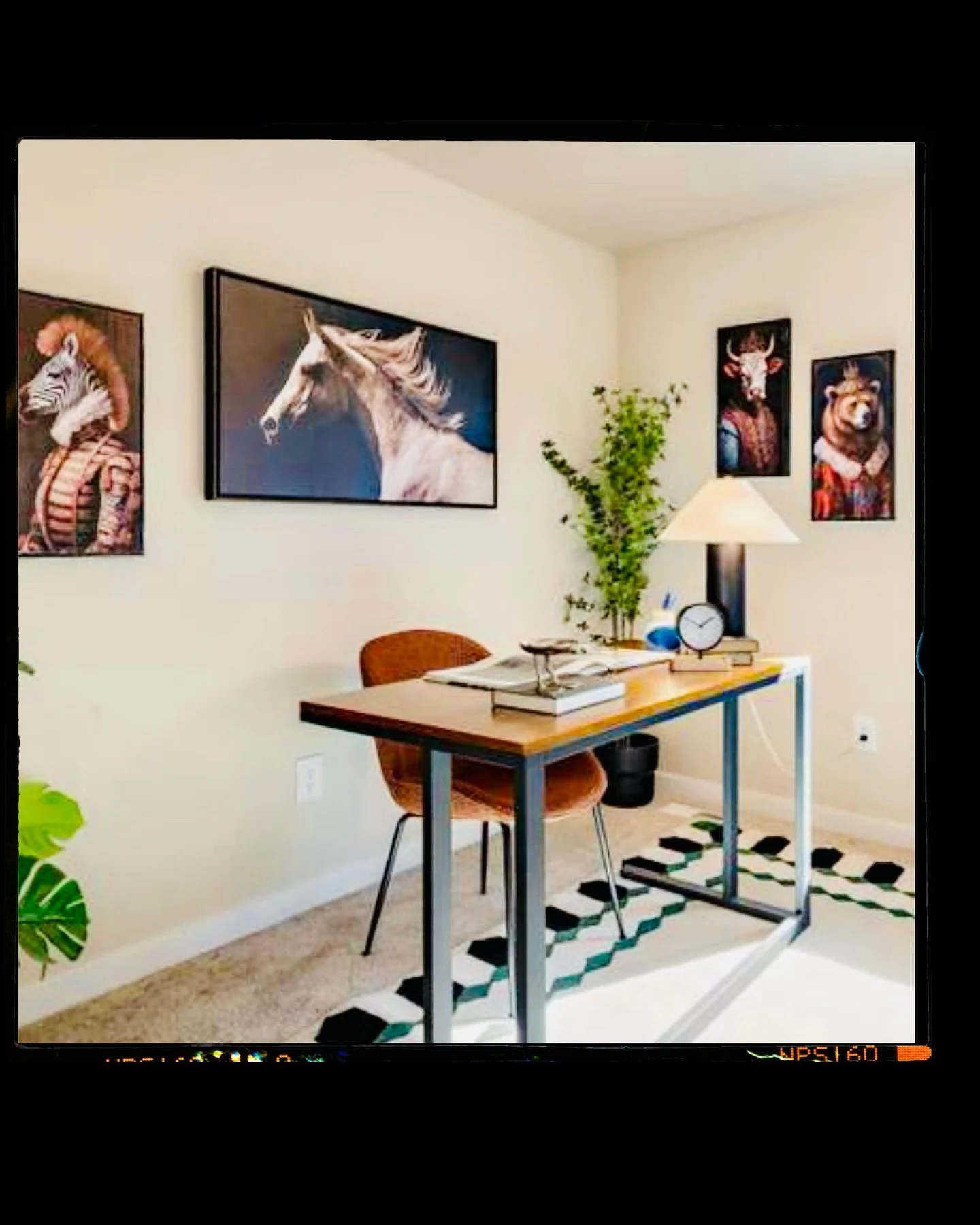 Eating up all this natural light and clean staging &mdash; with those little pops of color and cozy vibes tying it all together.