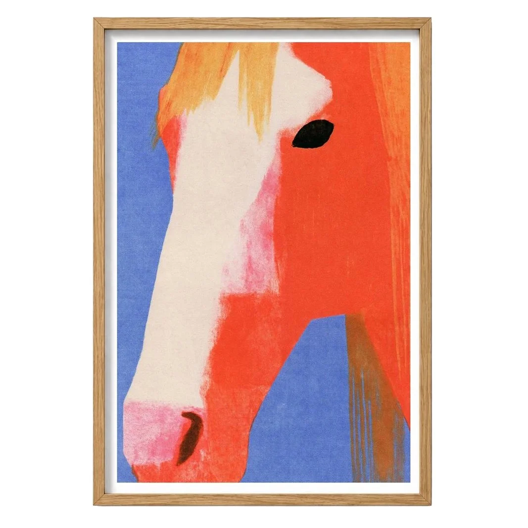 horse1.jpg