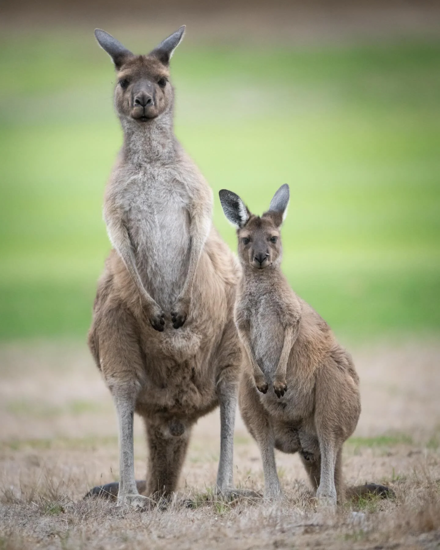 Day 2 : In Denmark WA:) 

More current updates and stories about every day adventures on @abstract_aerials