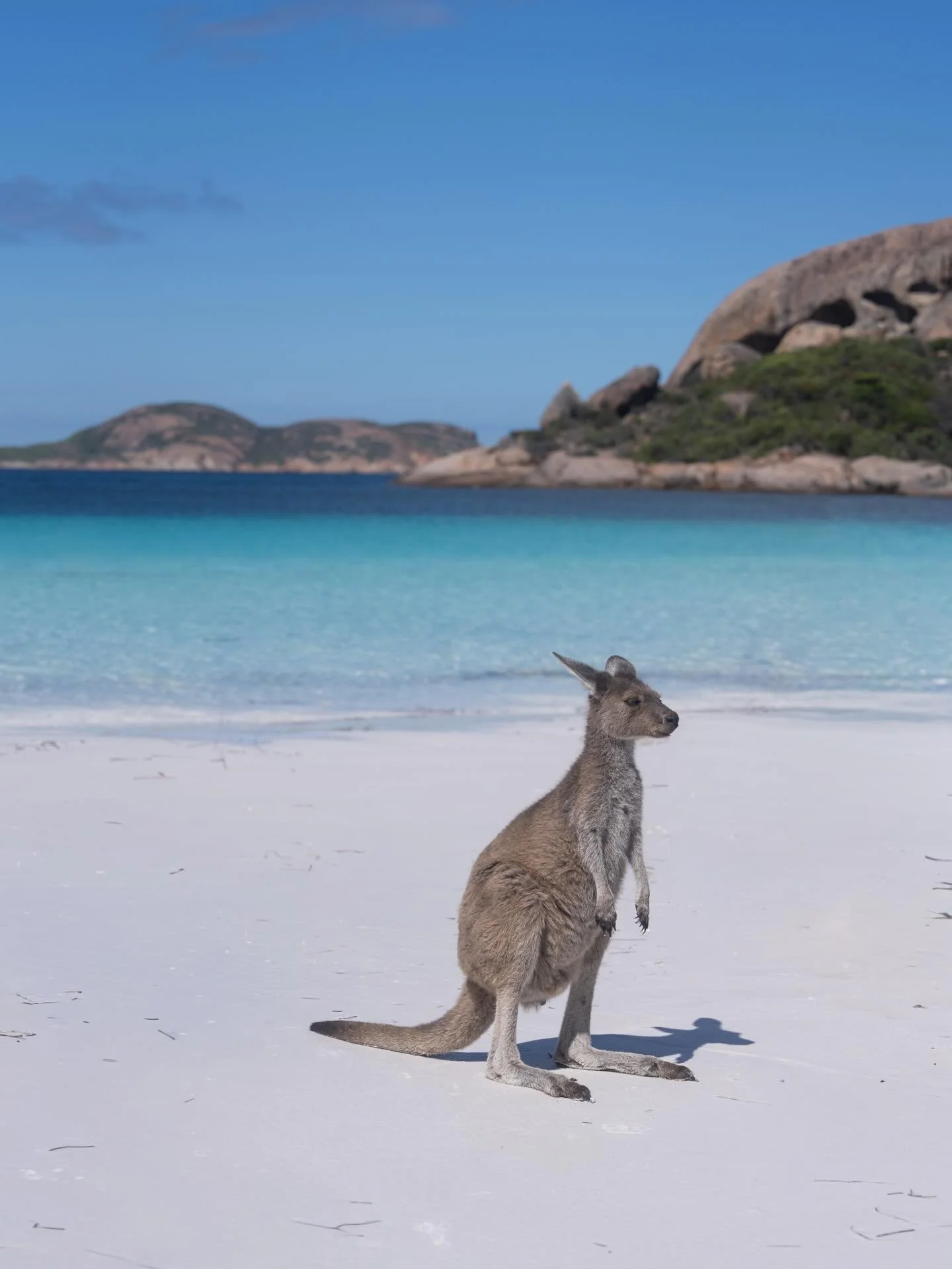 Somewhere in the southwest of Australia - I found a paradise 🏝️ The whitest and and bluest water I have ever seen. 

#esperance #westernaustralia #paradise #whitesand #natgeoyourshotwonder
