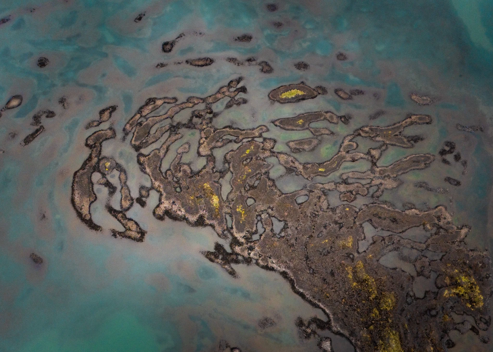 DJI_20240827193135_0187_D.jpg