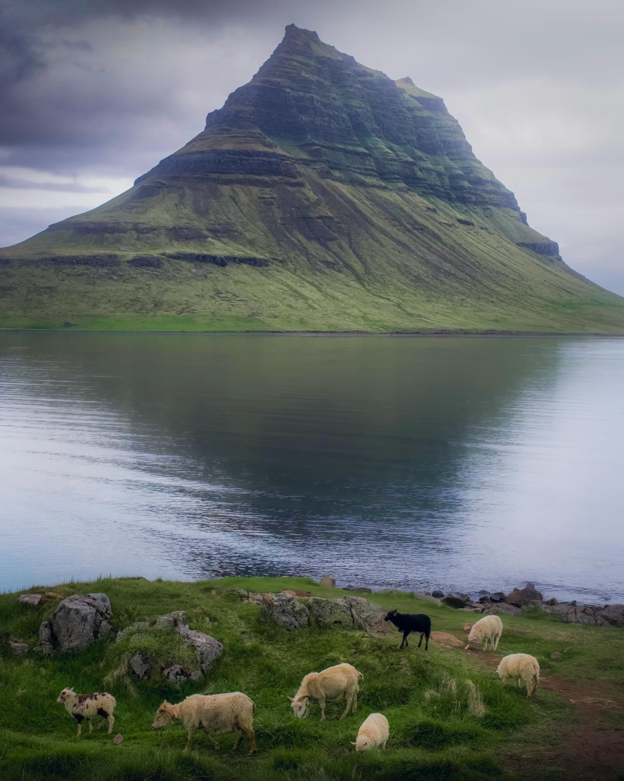 Day 3. Extended Ring Road adventure around Iceland. 🇮🇸 
Roaming Sn&aelig;fellsnes on a very moody and rainy day. 
Handheld photography only. Drone stayed grounded. Also his is a nestling season in Iceland. You need to really be careful where you fl