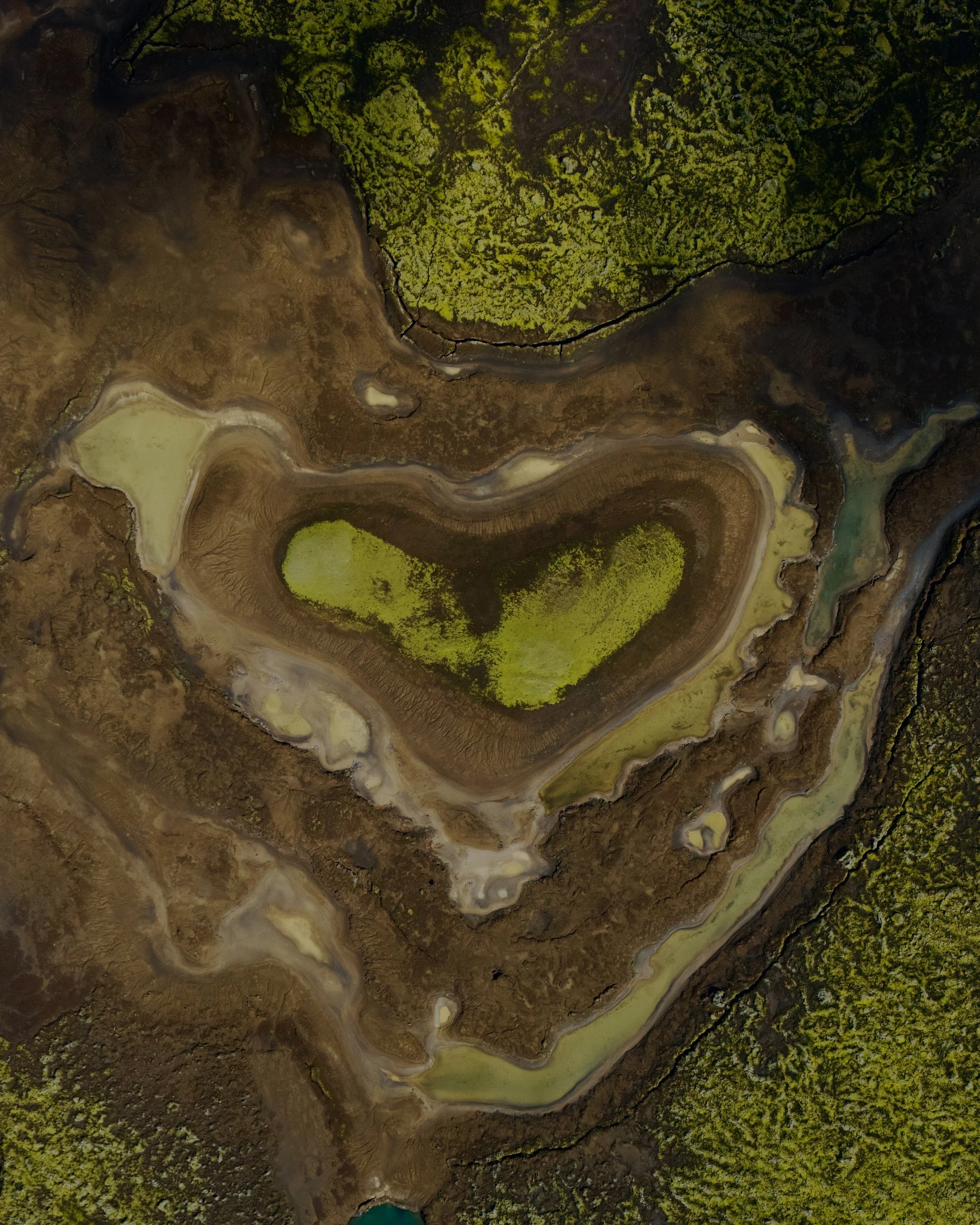 dji_fly_20250704_110146_0017_1751636776768_photo.JPG