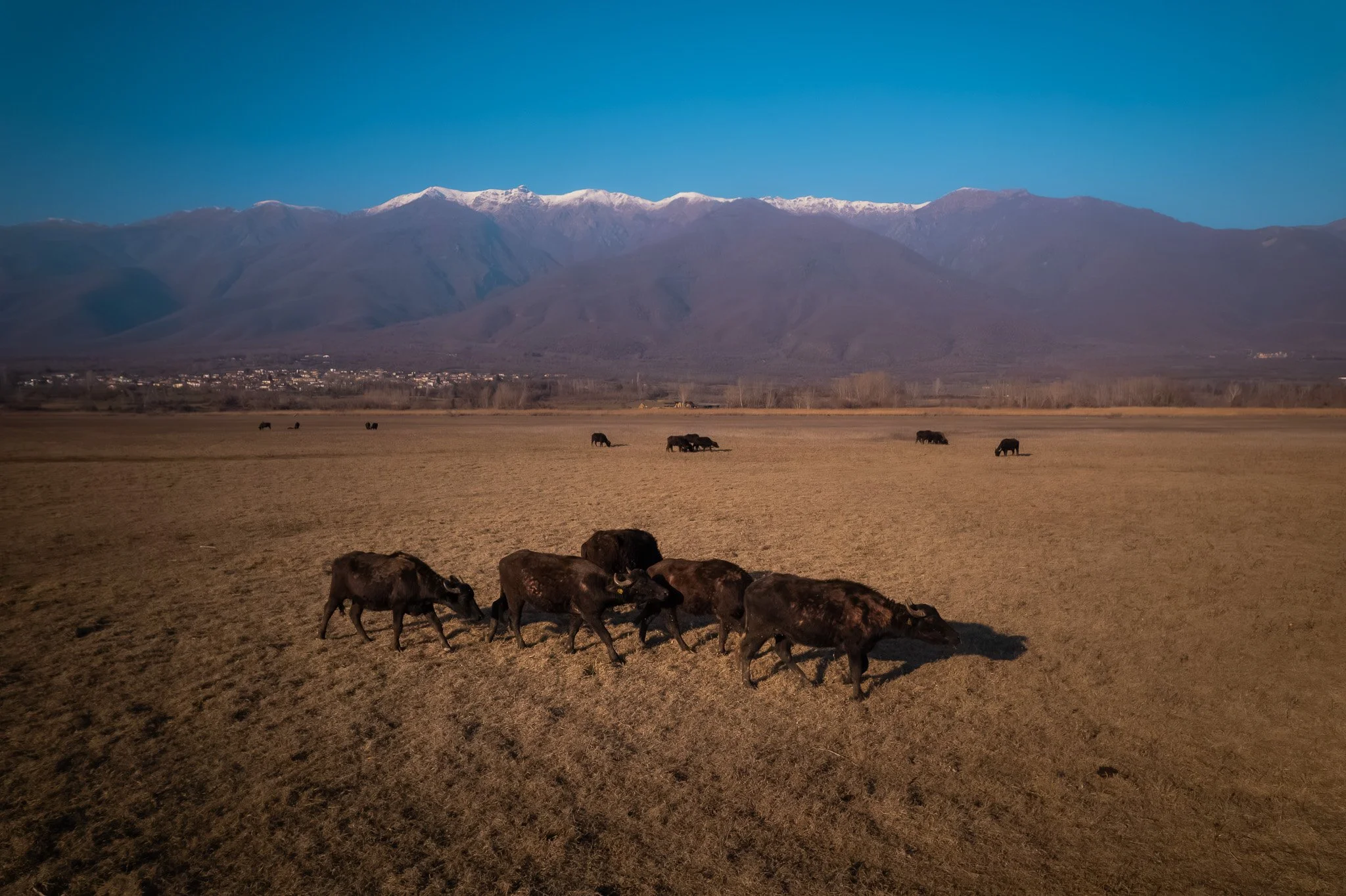 DJI_0682.jpg