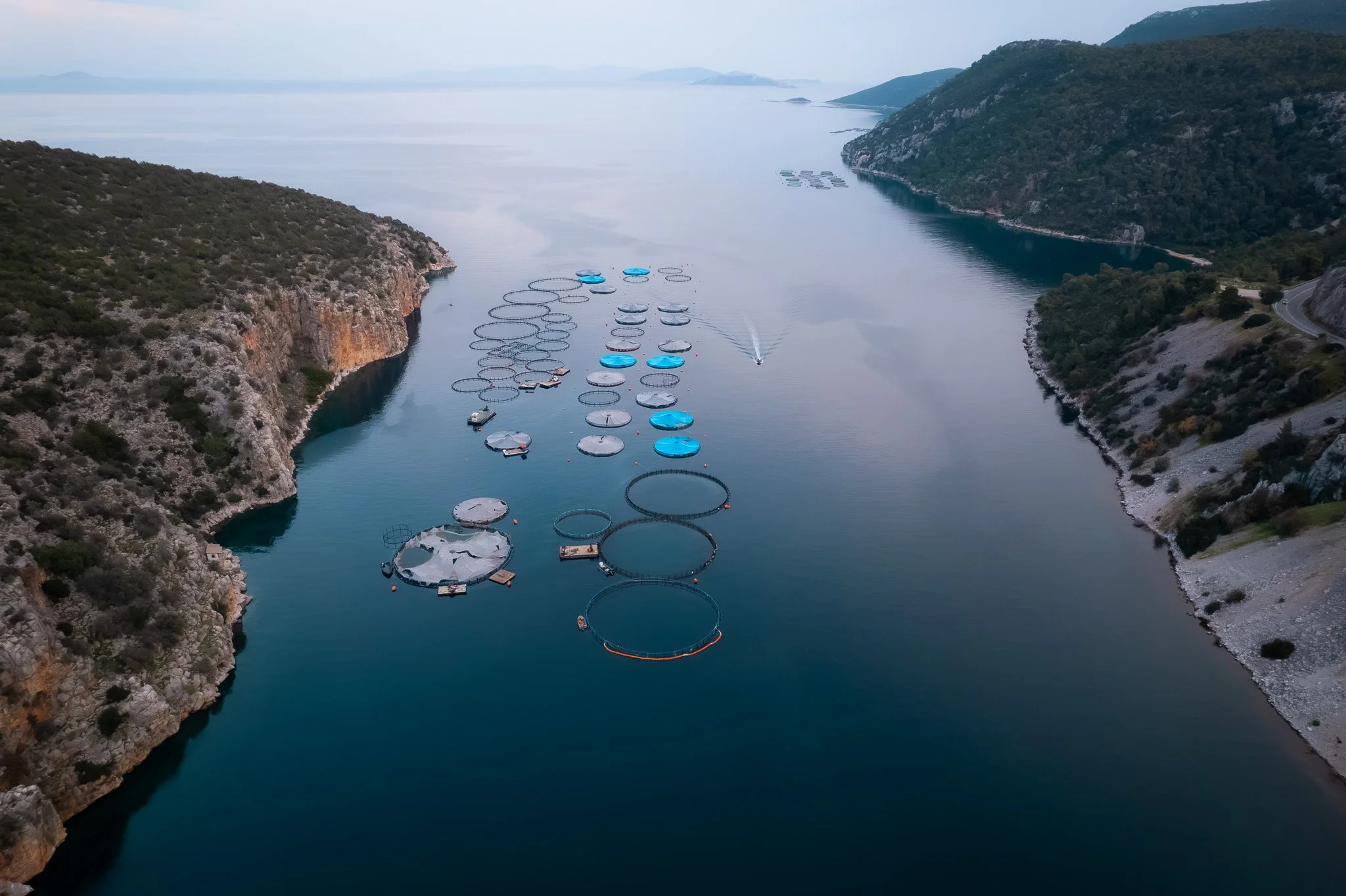 DJI_0120.jpg