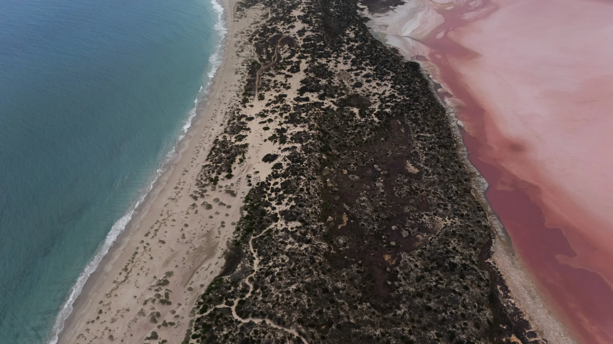 DJI_20260414074933_0363_D.jpg