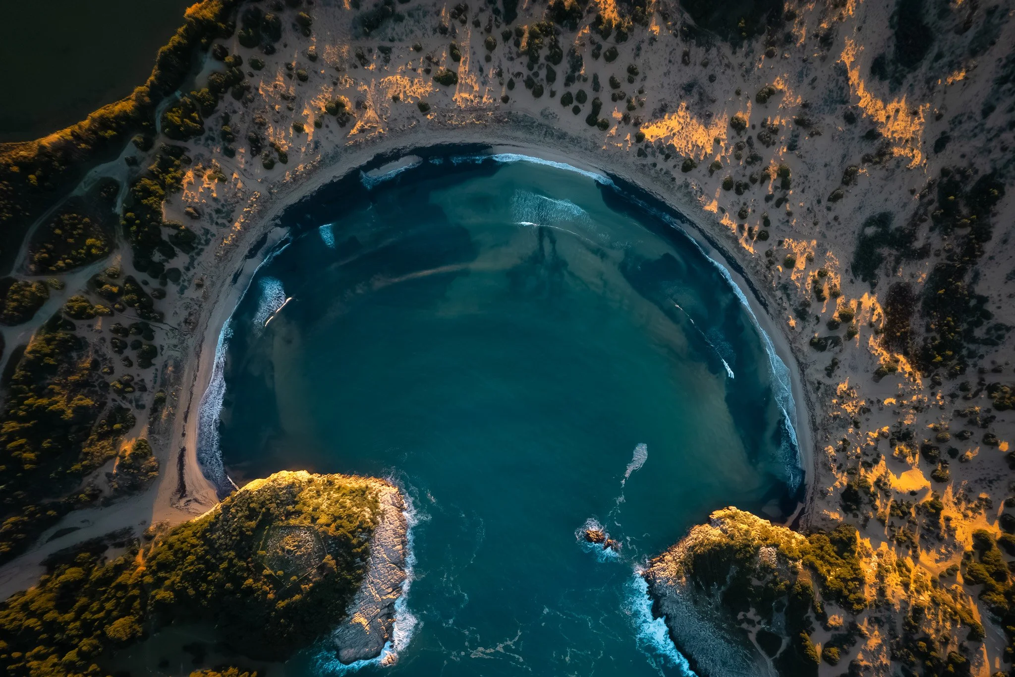DJI_0474 svamp.jpg