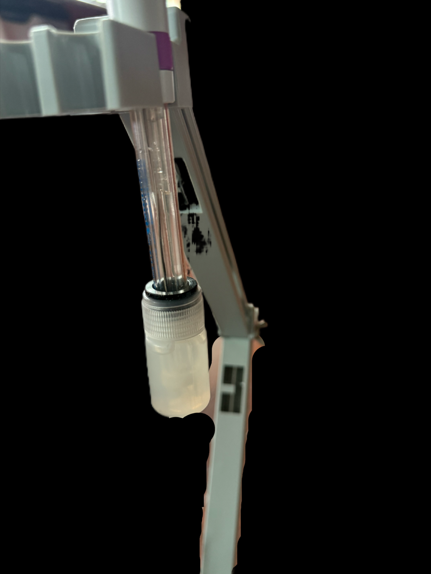 IMG_1454.png