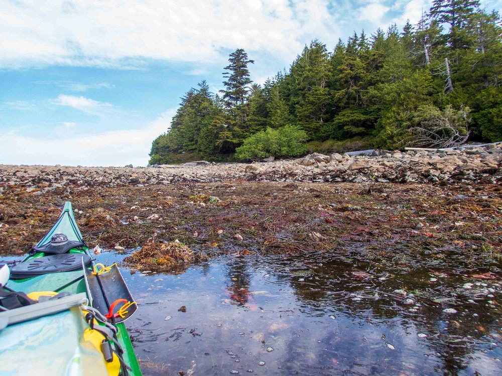 Edward King Island, SE side, low tide