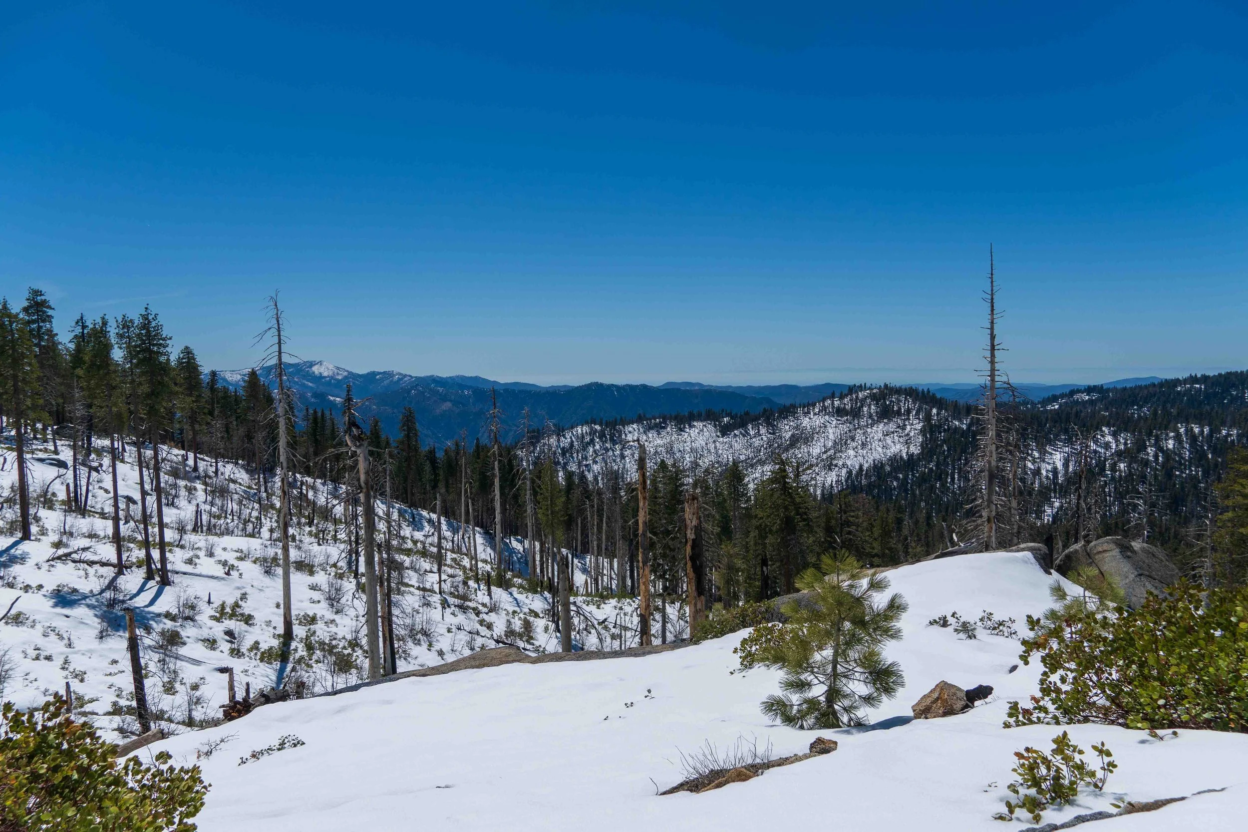 Snow Camping at Crane Flat