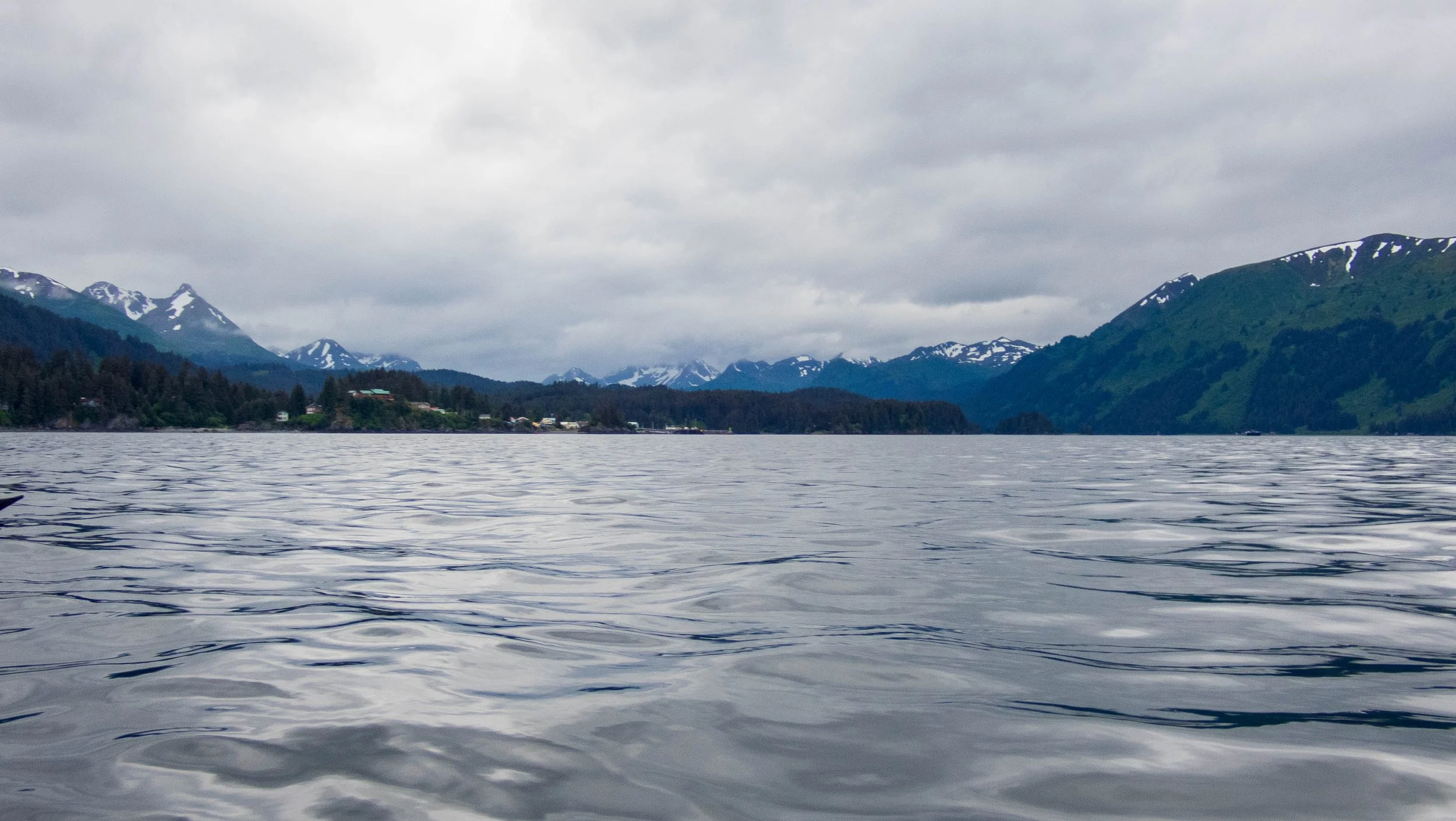 Seldovia from offshore