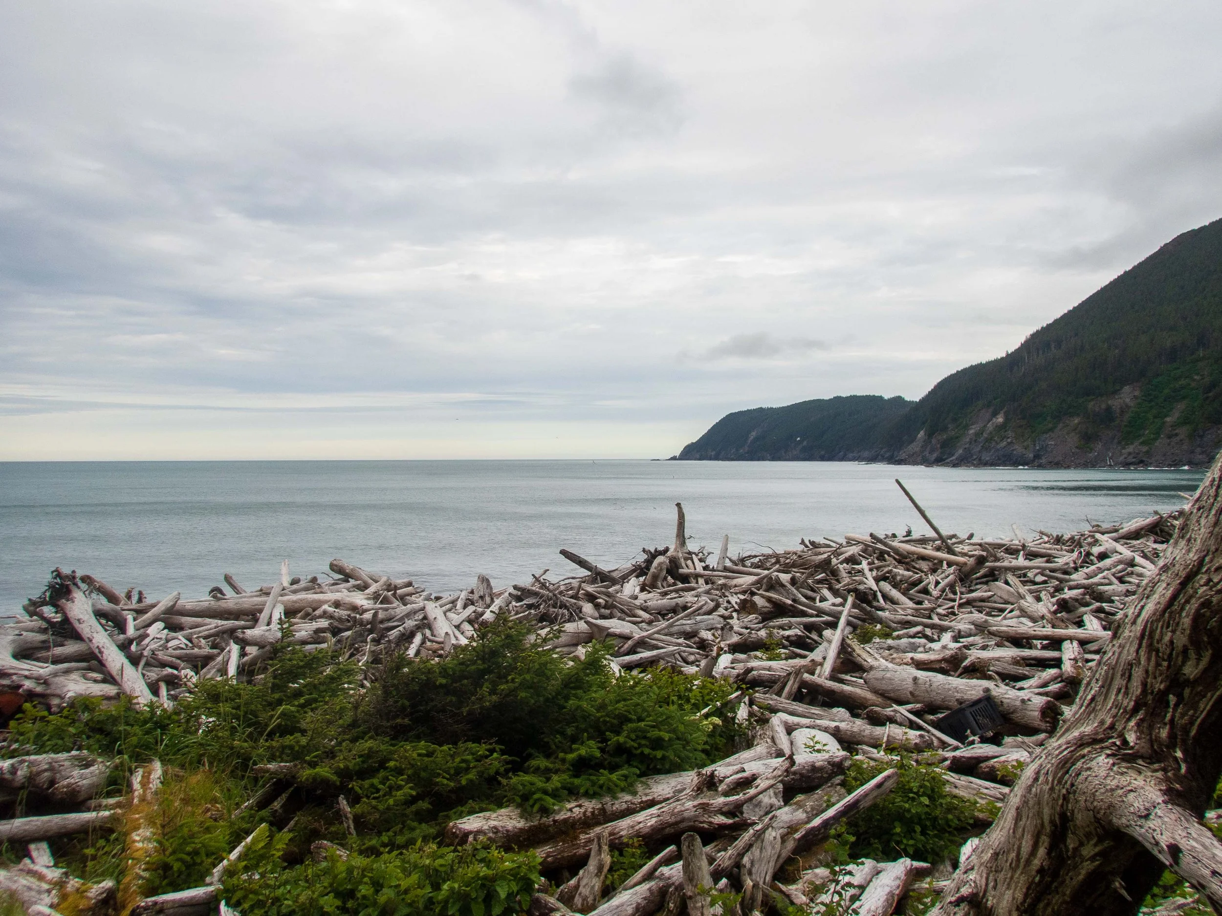 The massive logpile on the east side of the peninsula