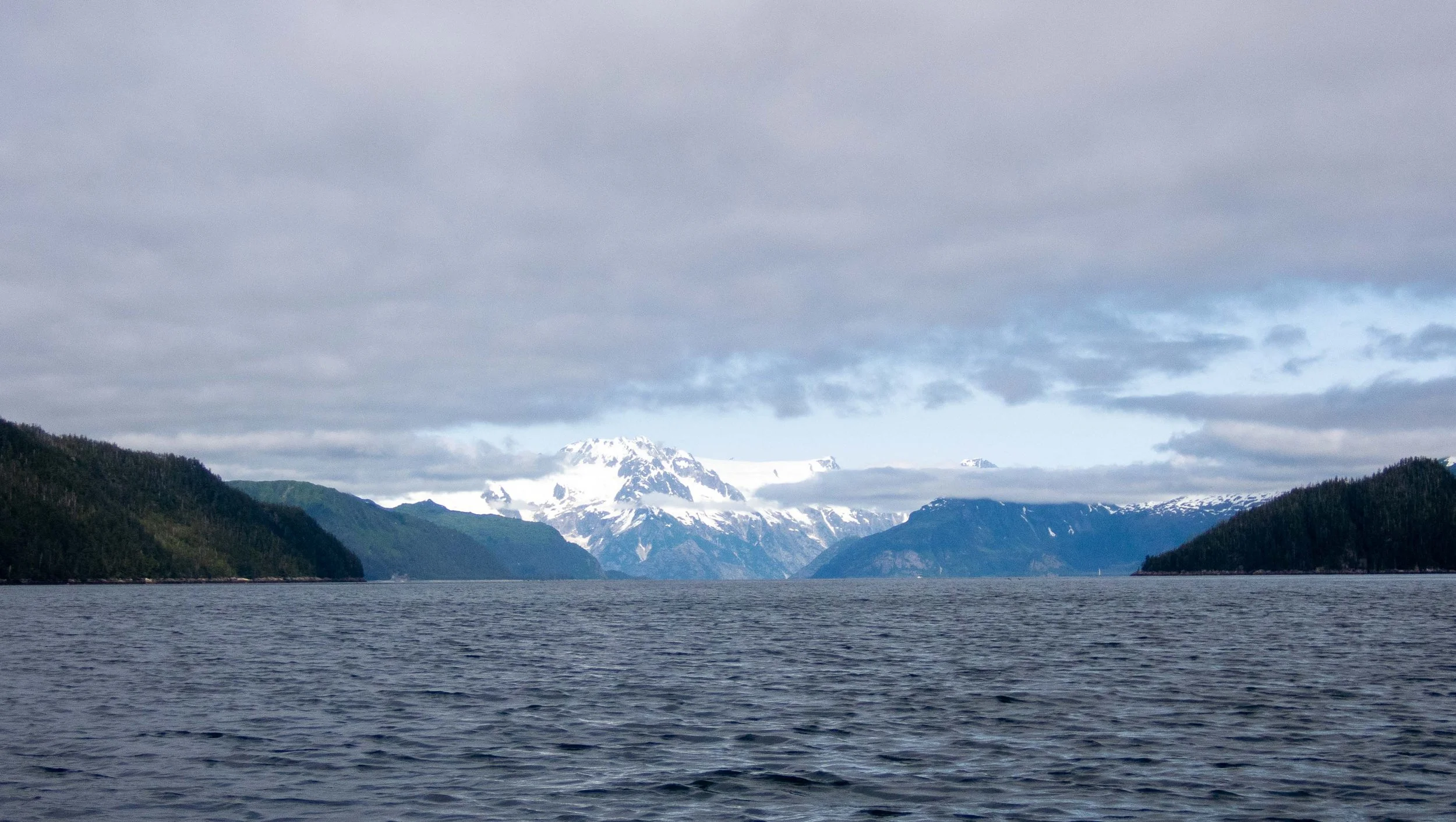The view into Aialik Bay