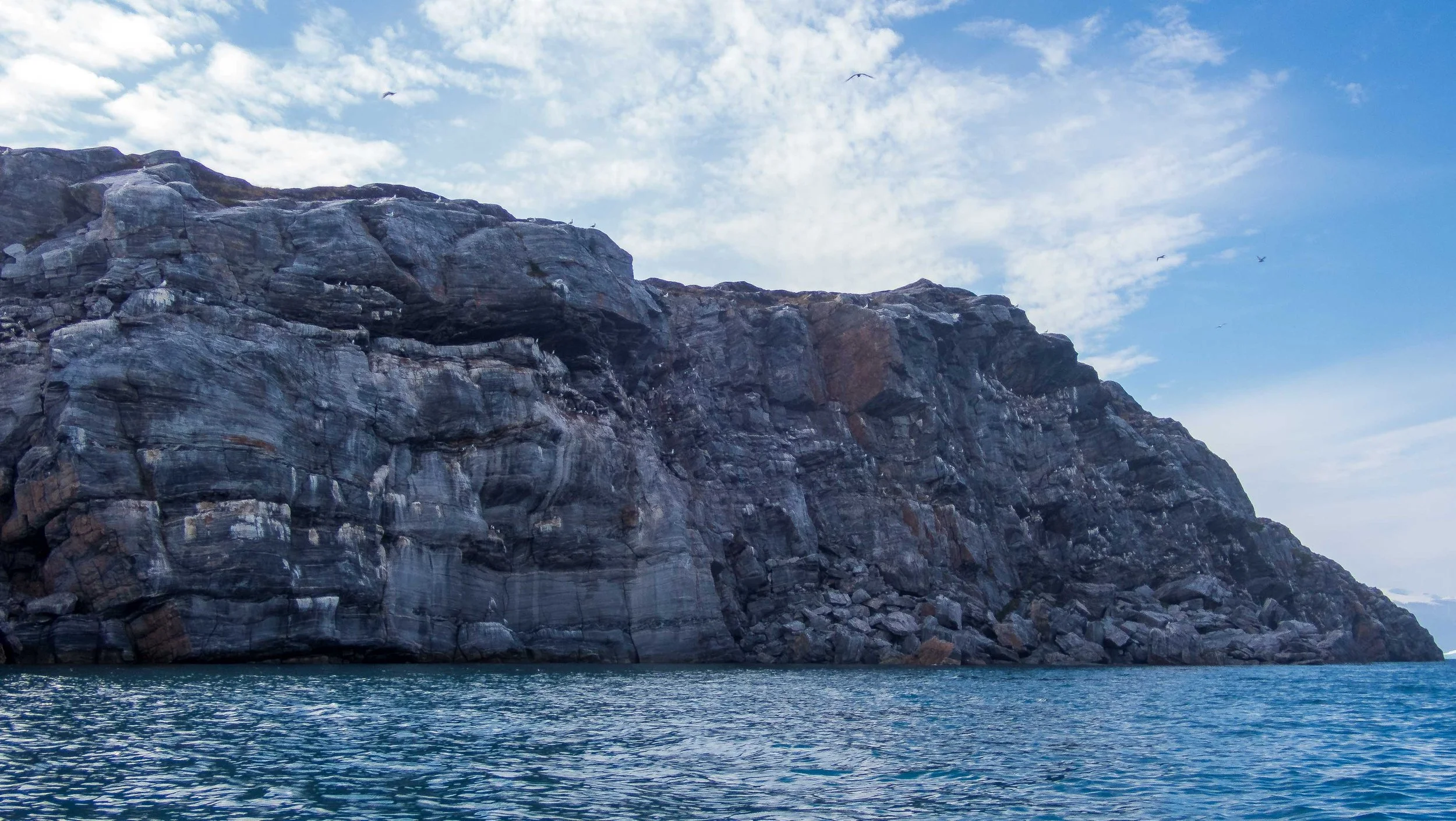 We passed by a cliff noisy with nesting black kittiwakes and northern fulmars.