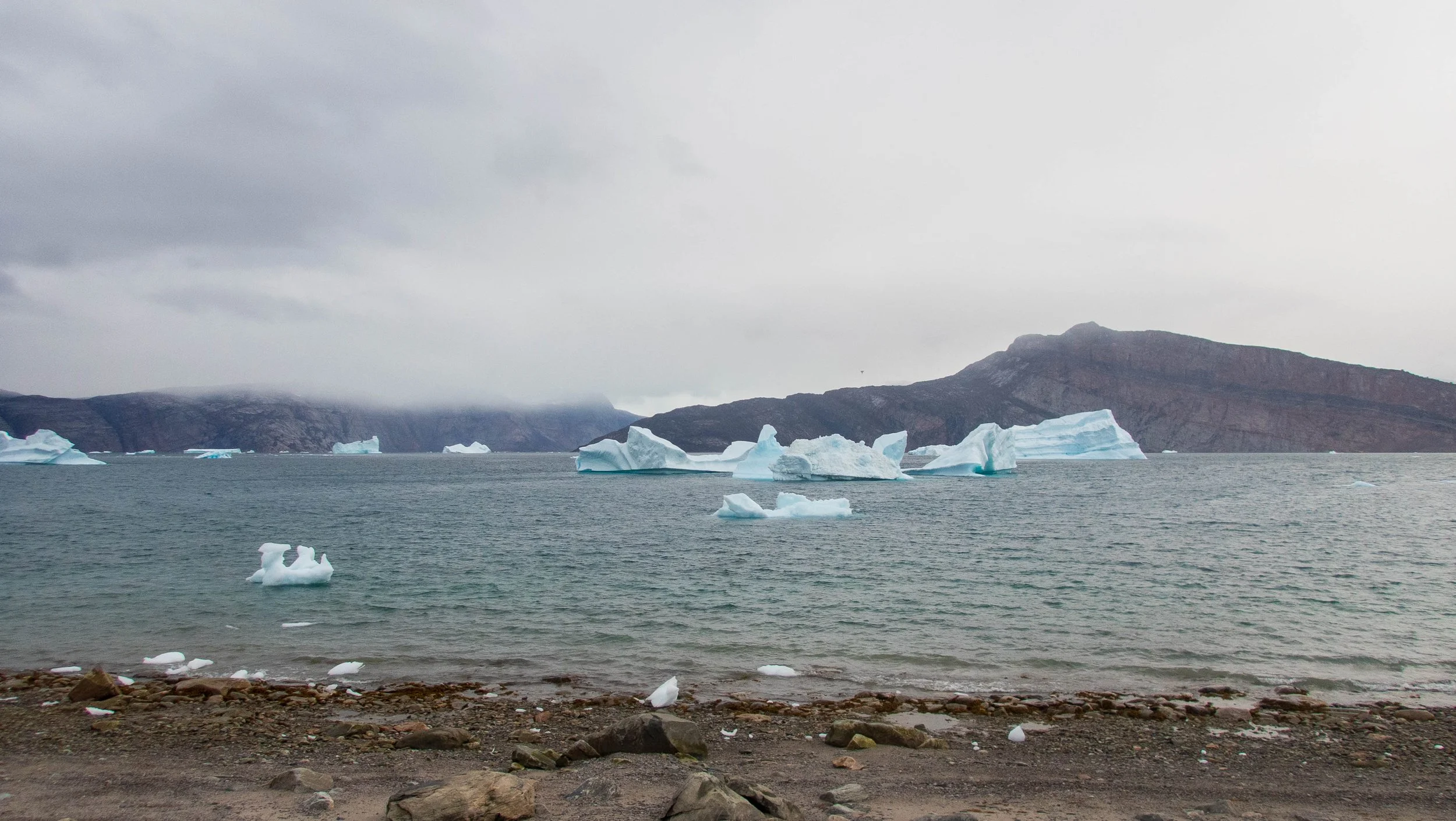 We kept a close eye on the fjord behind us, knowing wind could send icebergs sailing out, potentially blocking our exit.