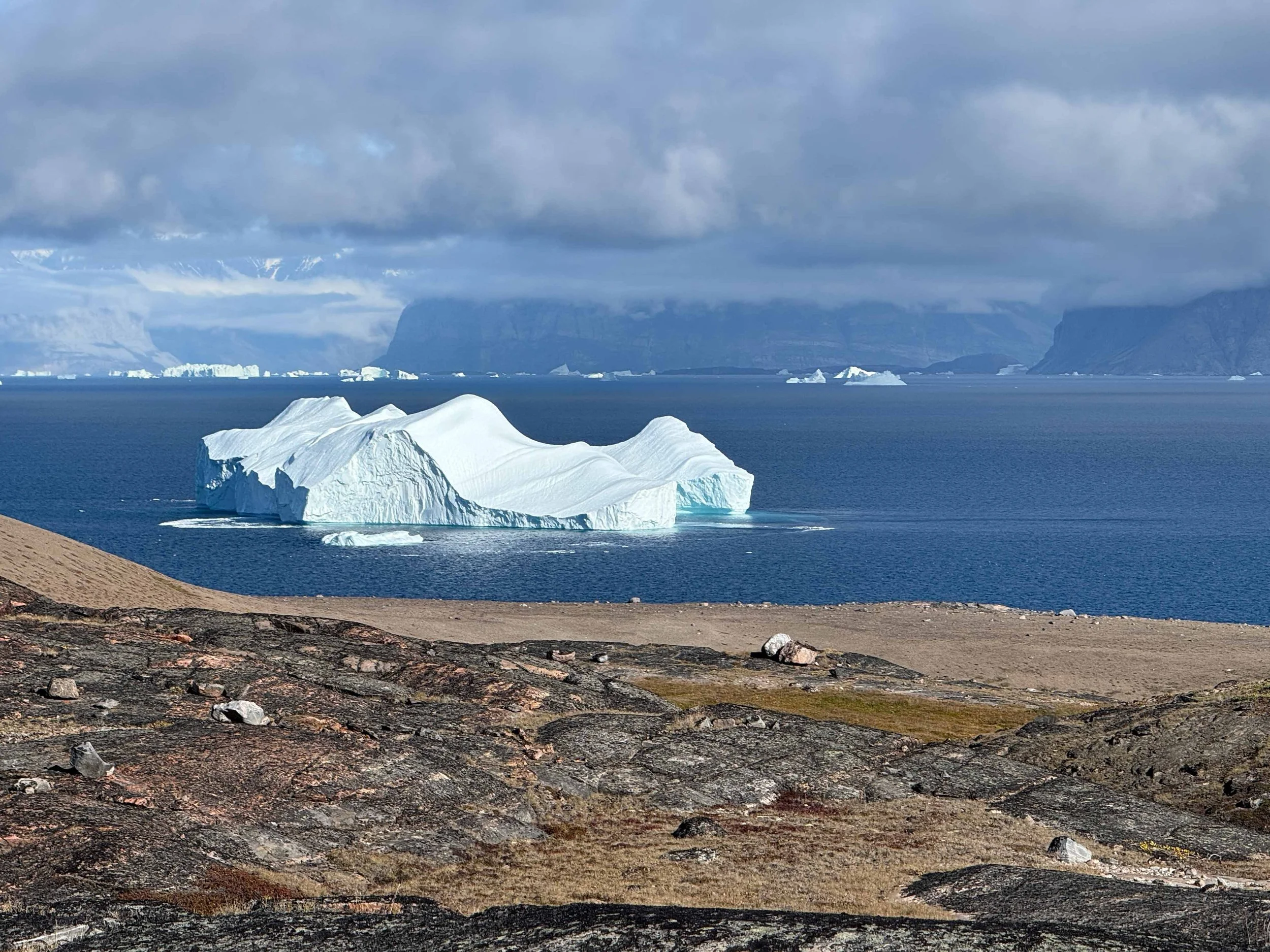 We saw even more tremendous icebergs in the outer bay northeast of Qaarsut.