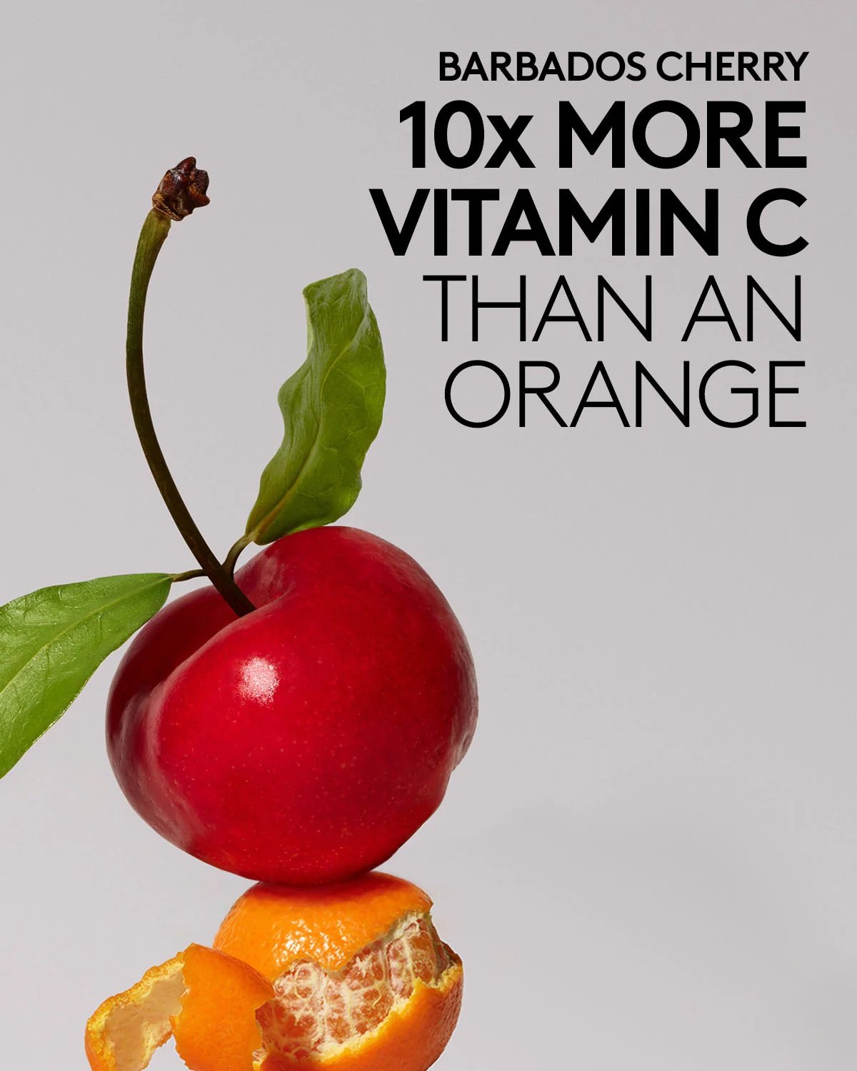 FS791500_GLOBAL_CHERRY_DUB_CLEANSER_INFOGRAPHICS_1200x1500_Barbados_Cherry_Vitamin_C_1 copy.jpg