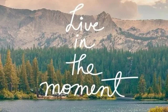 Ten Steps to Begin Your Healing Journey